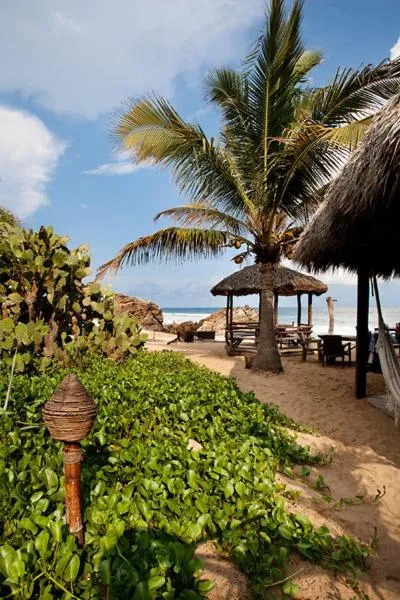 View (from property/room) in El Alquimista Yoga Spa