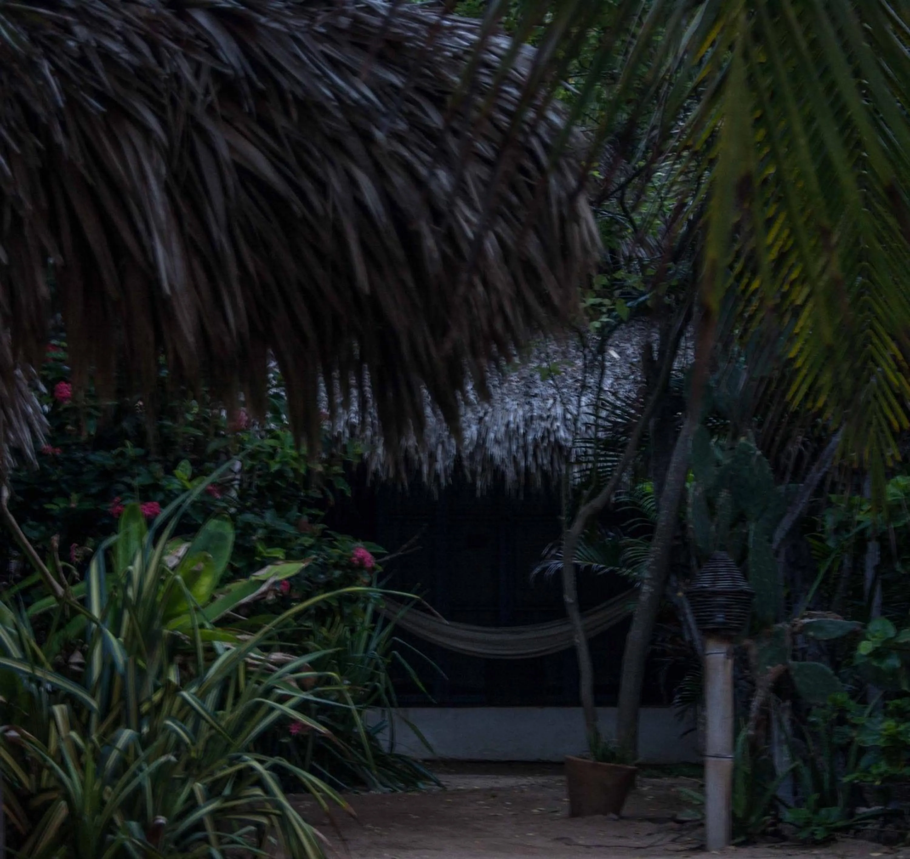 Garden in El Alquimista Yoga Spa