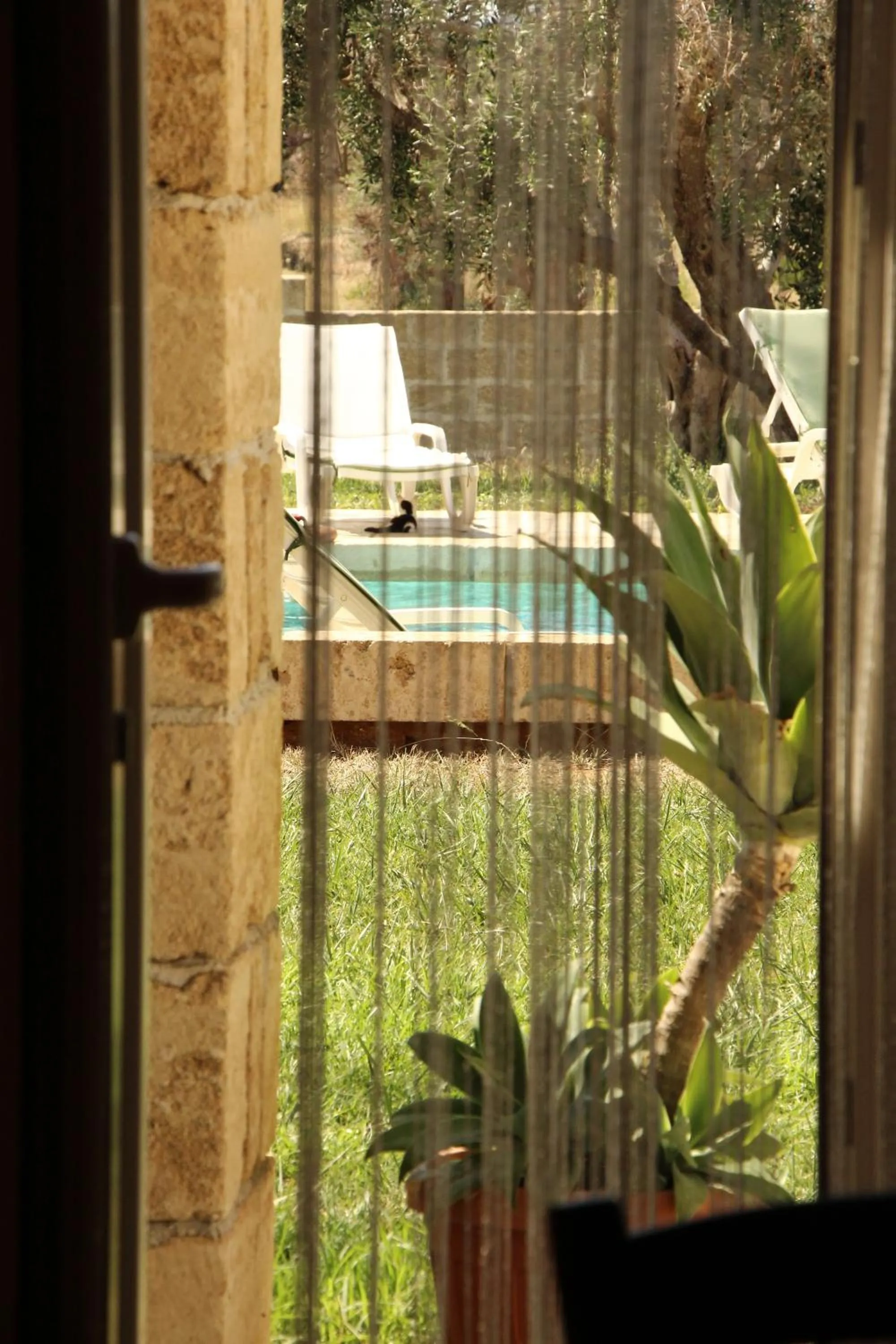 B&B Li Fichi Alezio/Gallipoli