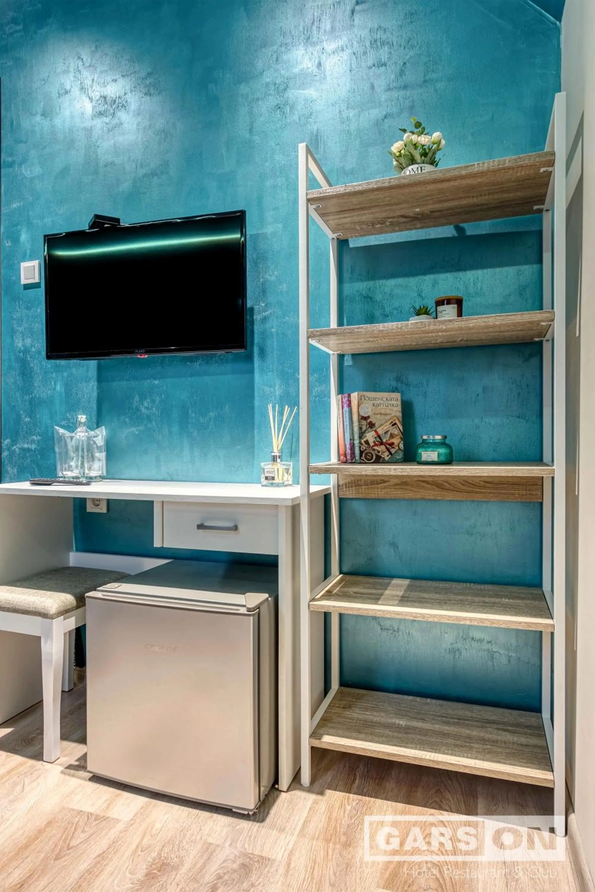 TV and multimedia in GarsON