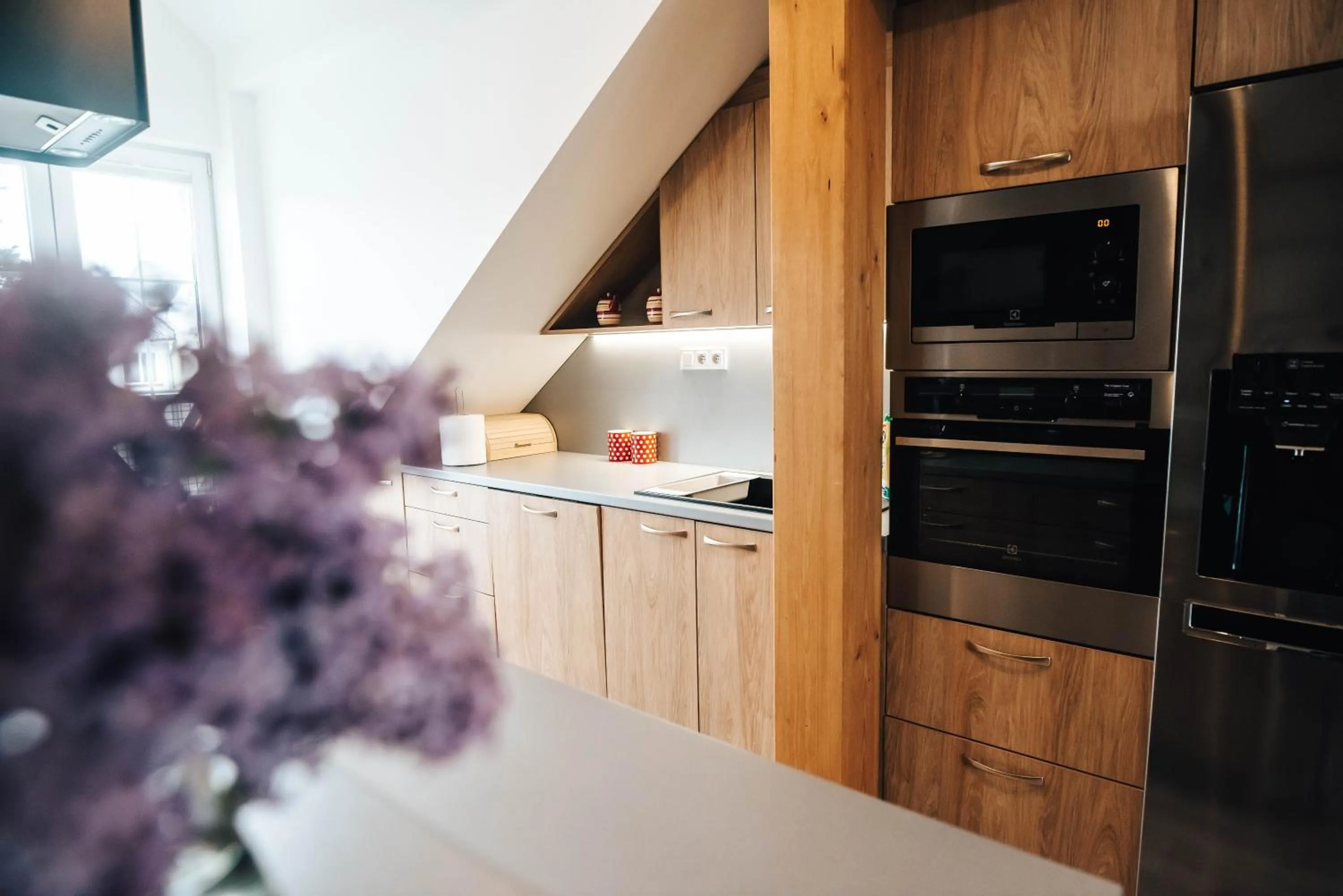 Kitchen or kitchenette in Hotel Forea