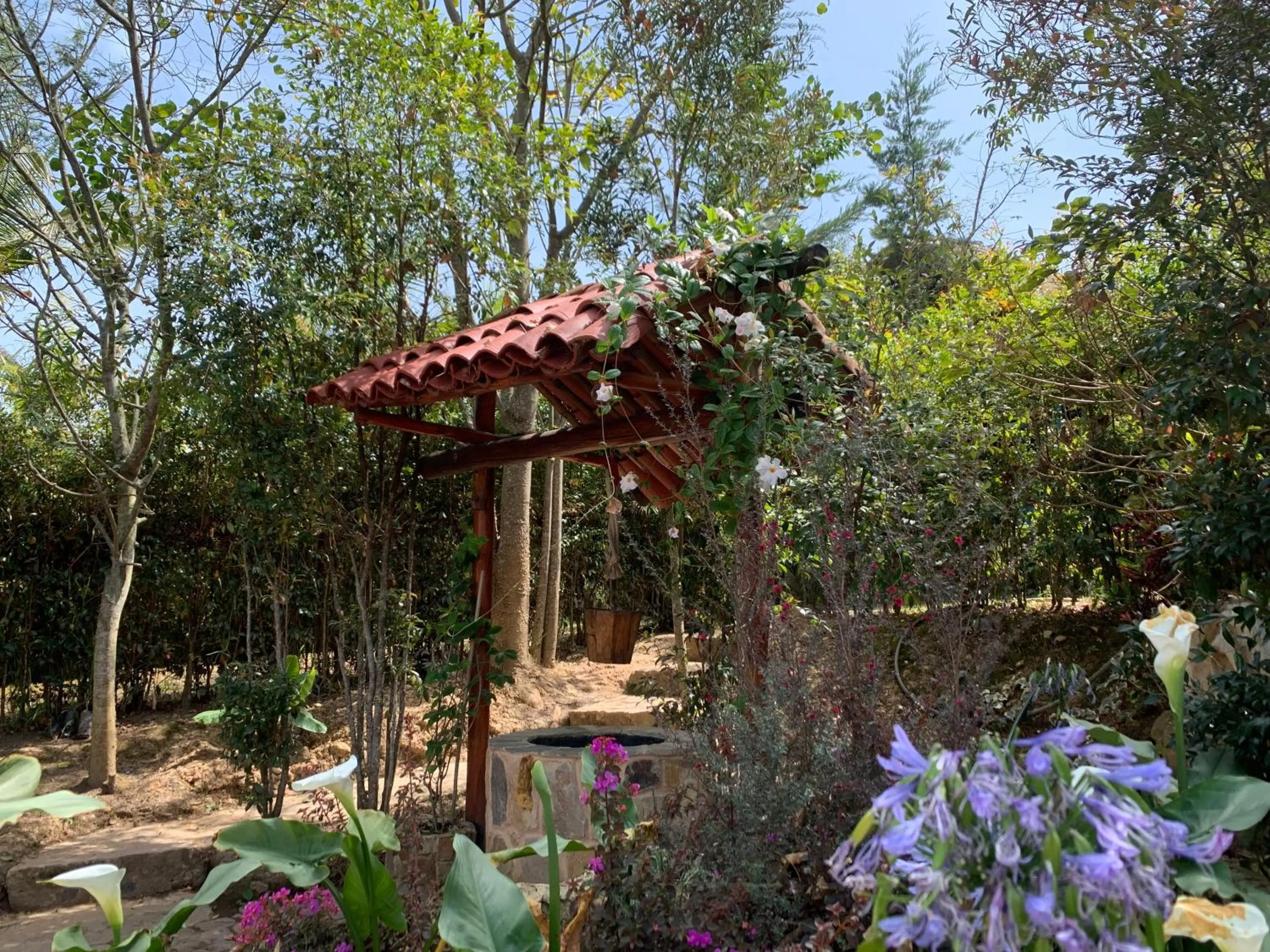 Garden in Hotel Campestre mirador CaloPala