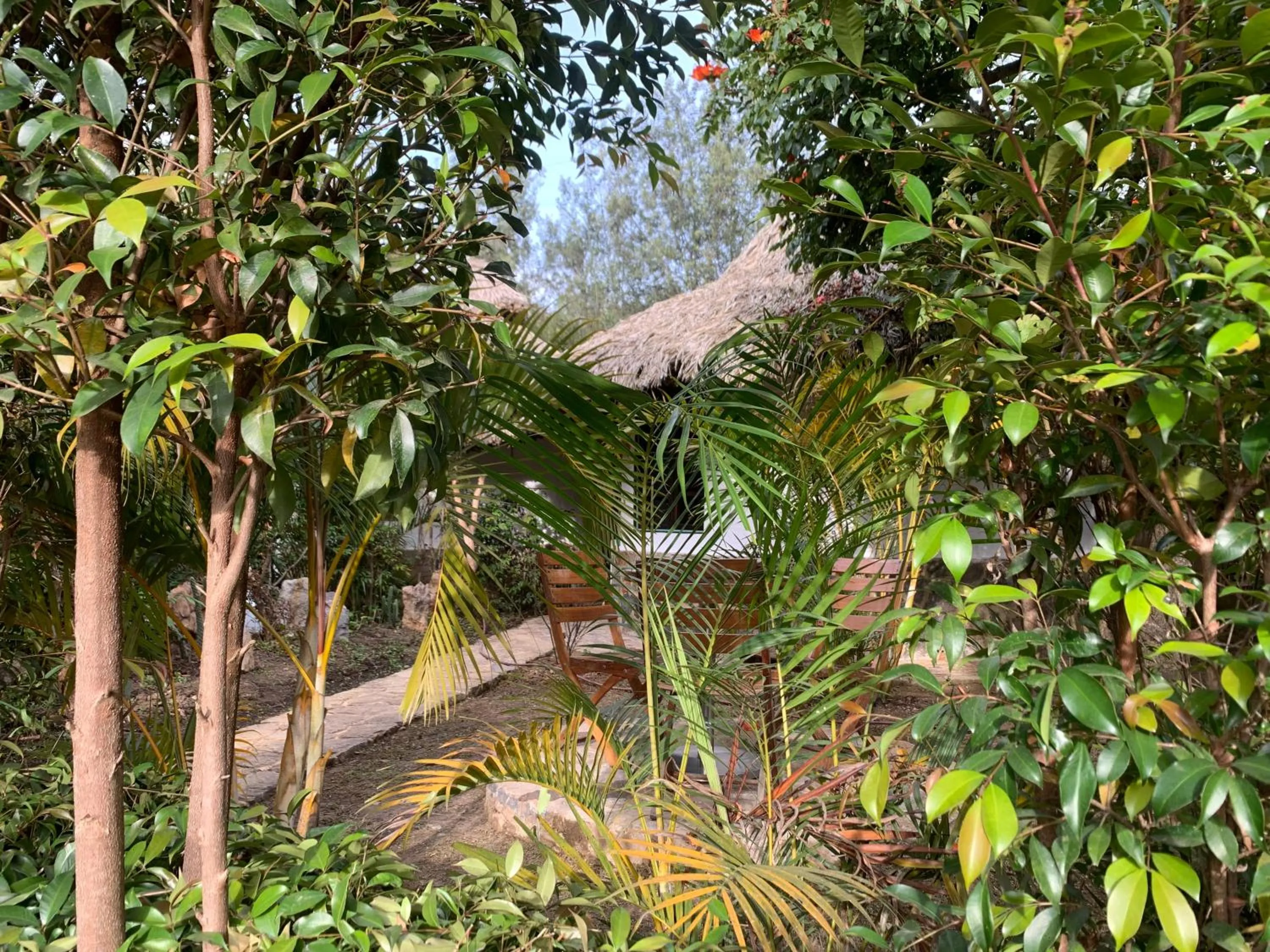 Natural landscape in Hotel Campestre mirador CaloPala