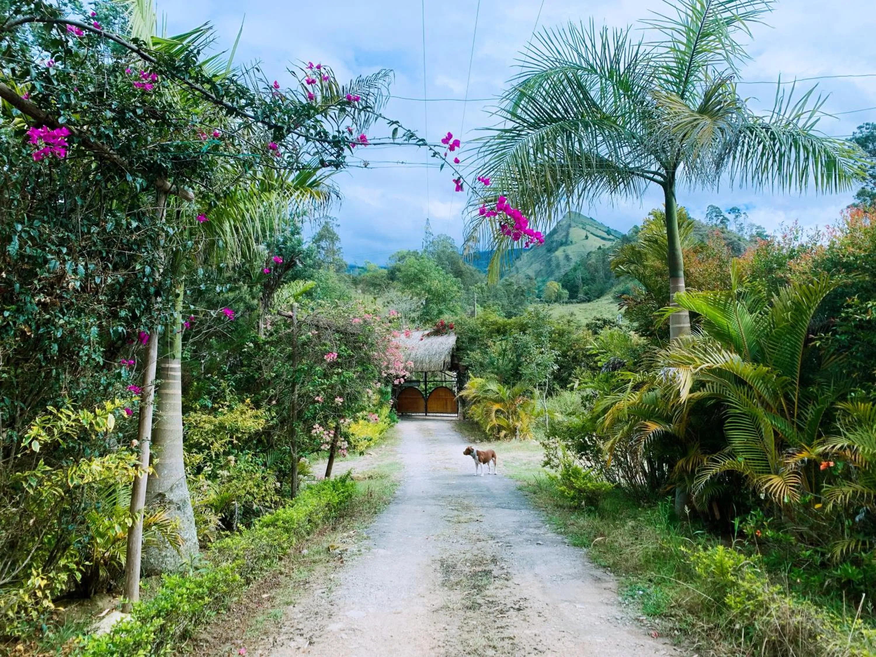 Spring in Hotel Campestre mirador CaloPala