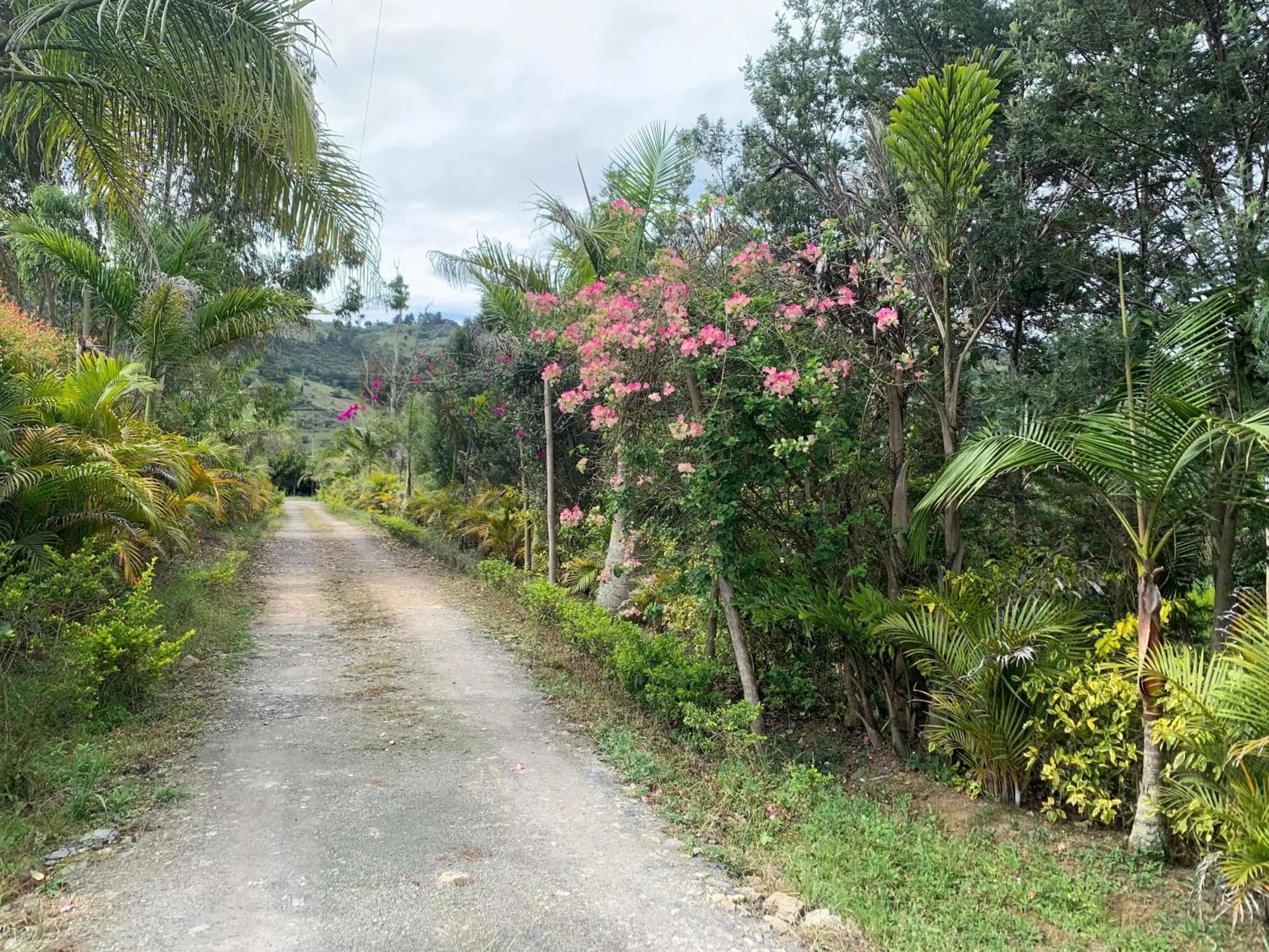 Natural landscape in Hotel Campestre mirador CaloPala