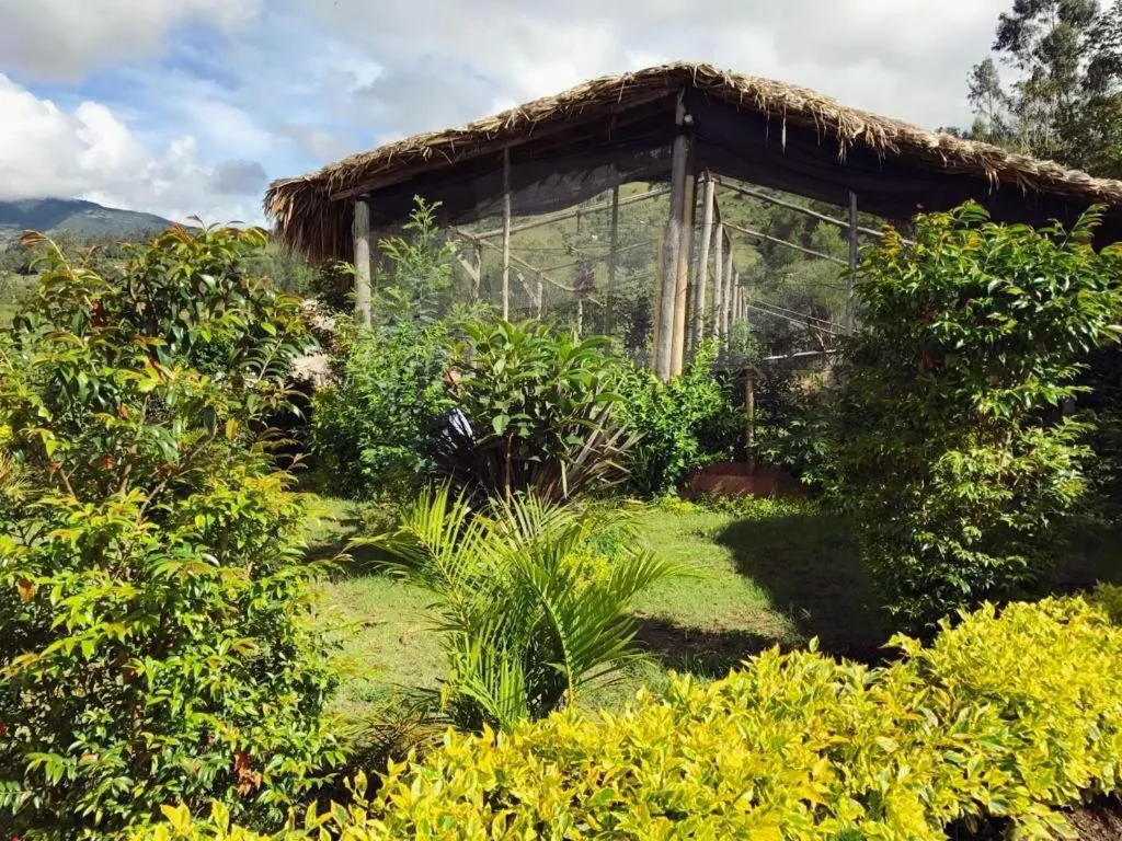 Garden in Hotel Campestre mirador CaloPala