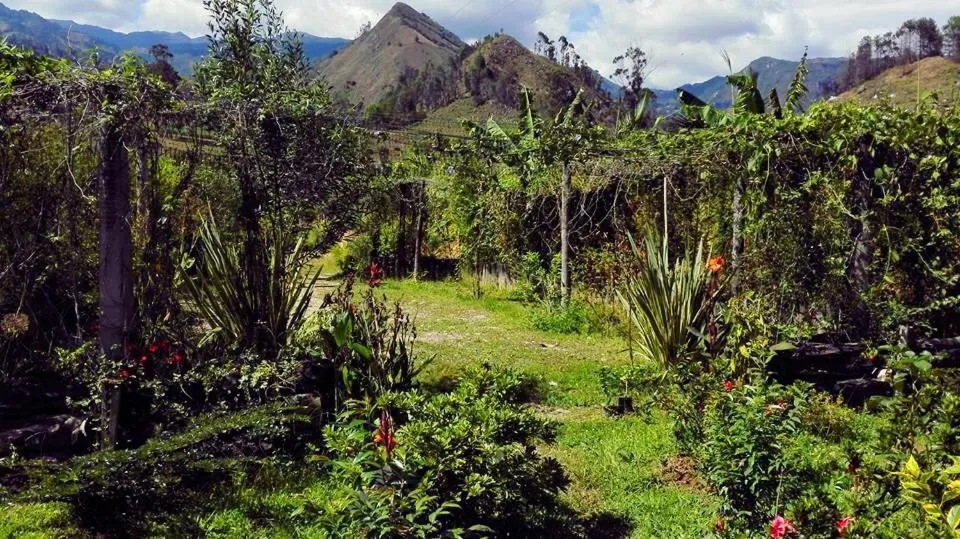 Natural landscape in Hotel Campestre mirador CaloPala