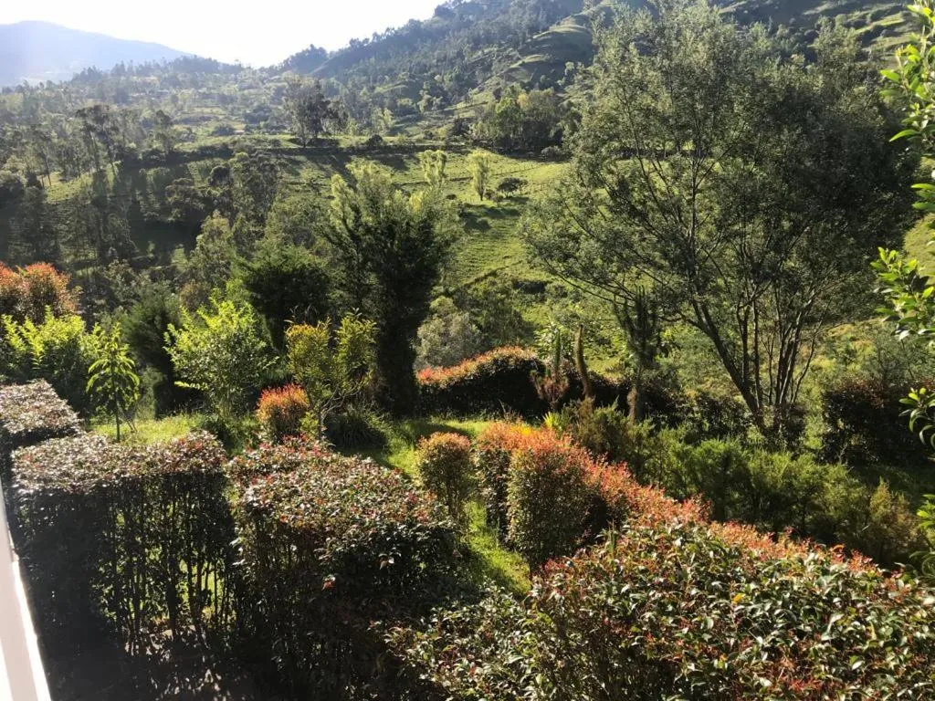 Natural landscape in Hotel Campestre mirador CaloPala