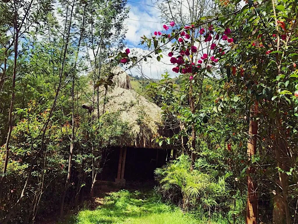 Natural landscape in Hotel Campestre mirador CaloPala