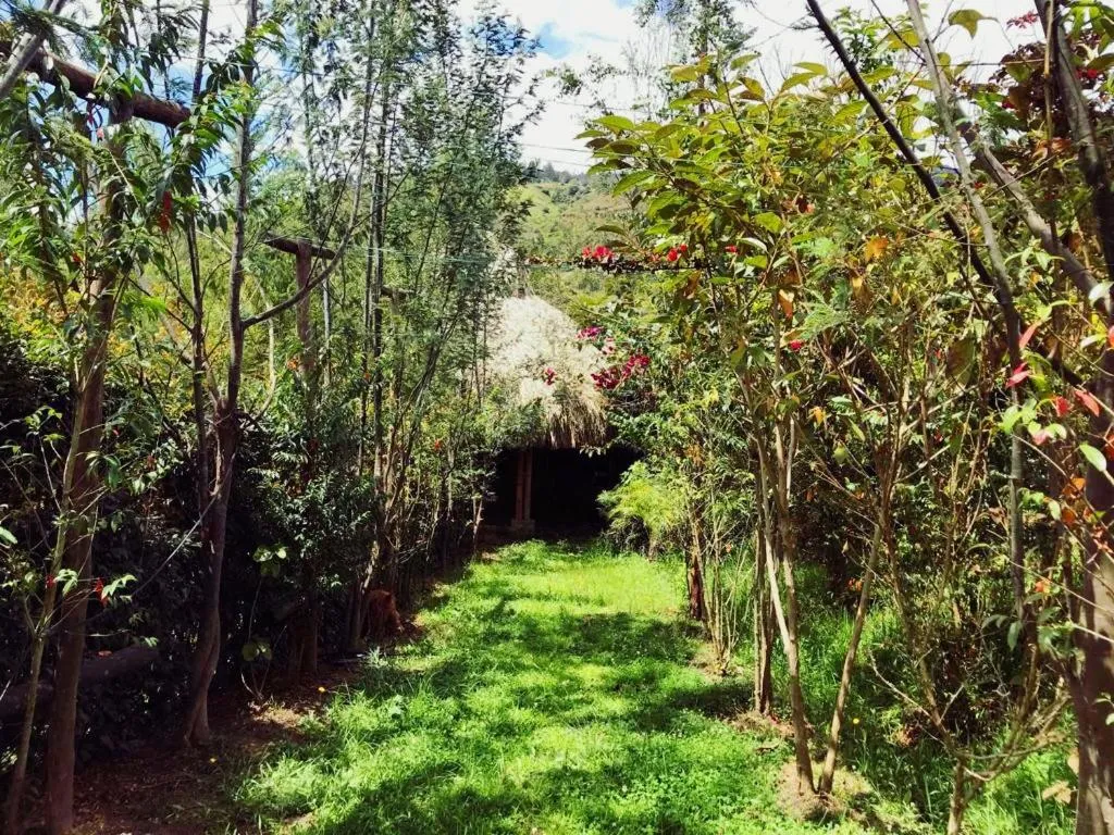Natural landscape in Hotel Campestre mirador CaloPala