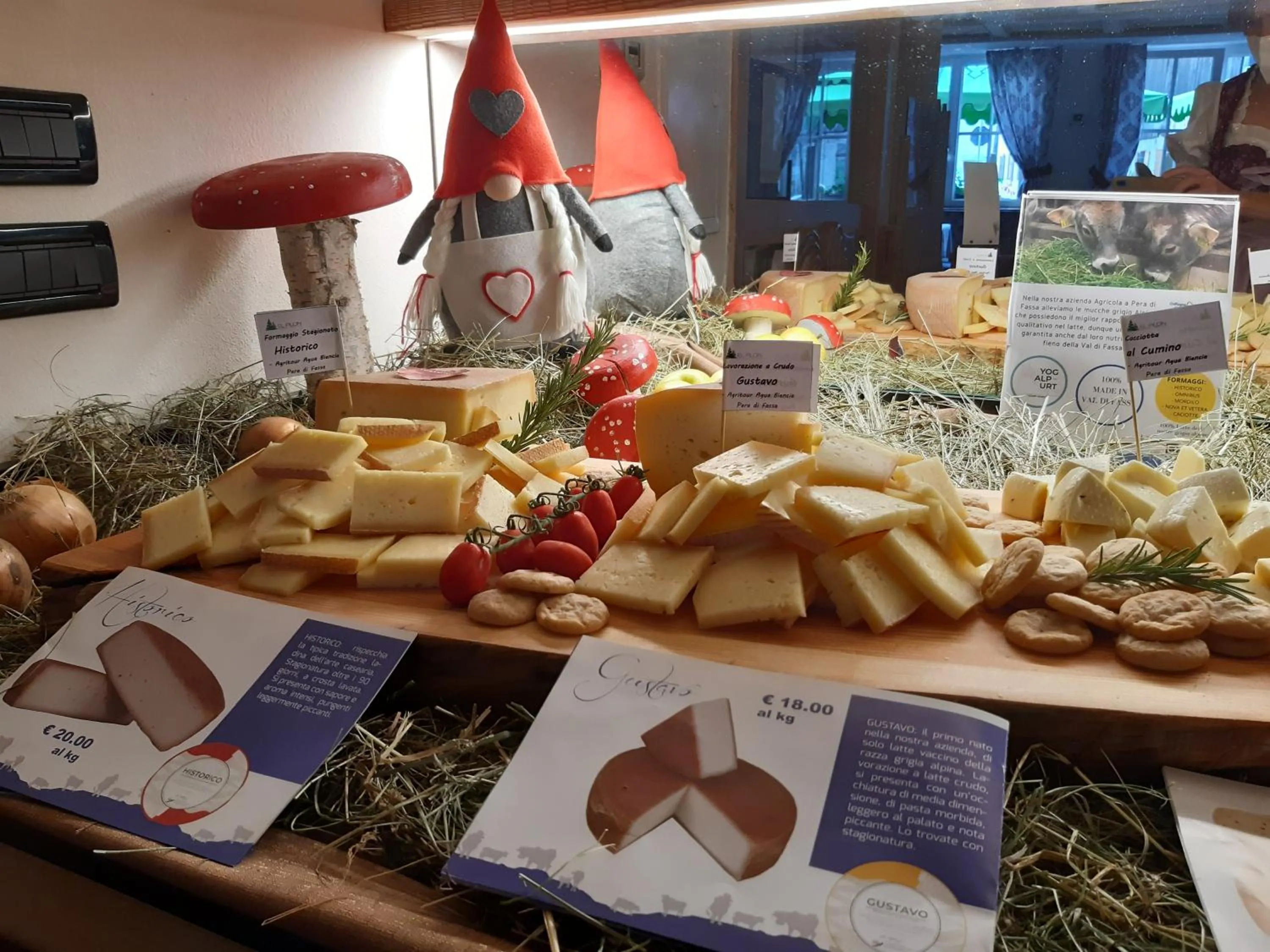 Restaurant/places to eat in Hotel El Pilon