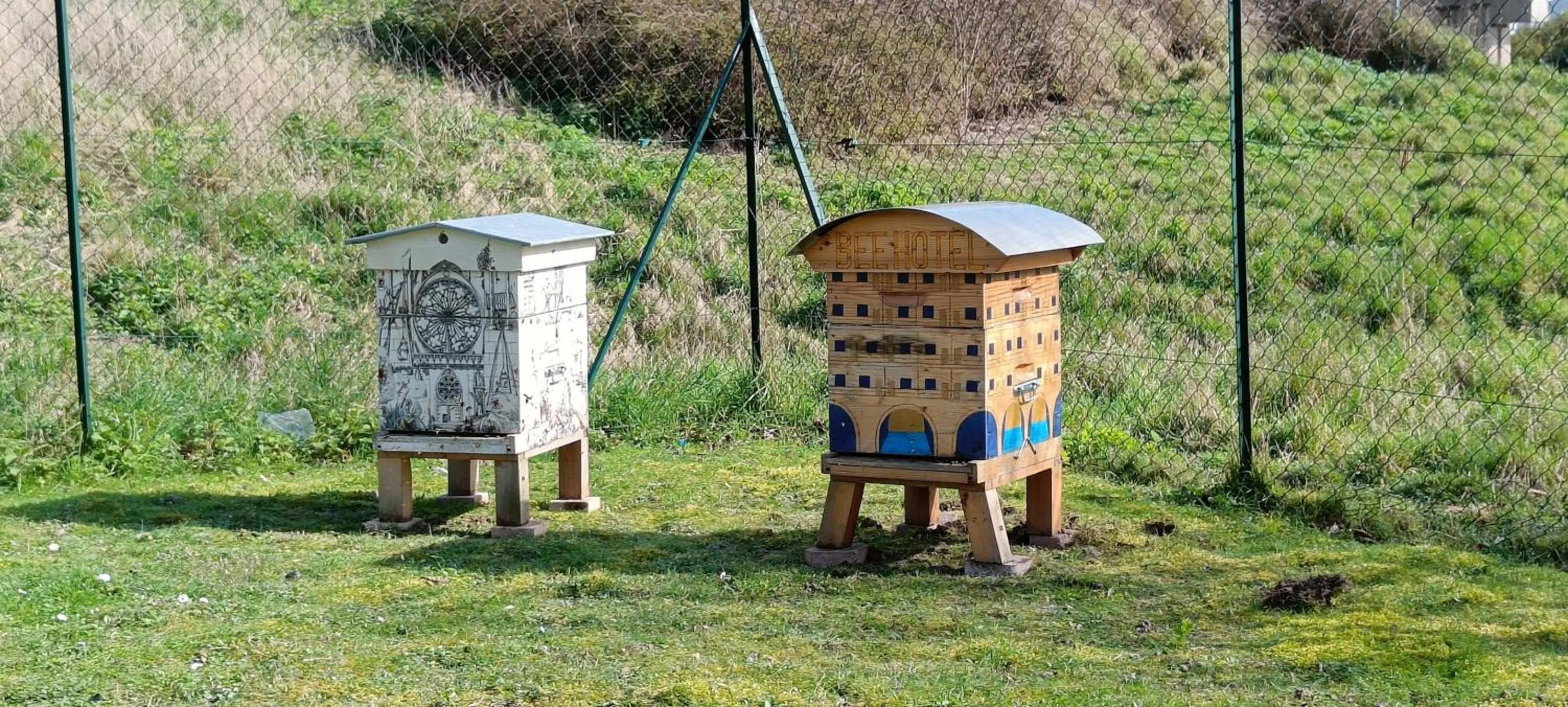 Other in Brit Hotel Reims Croix Blandin