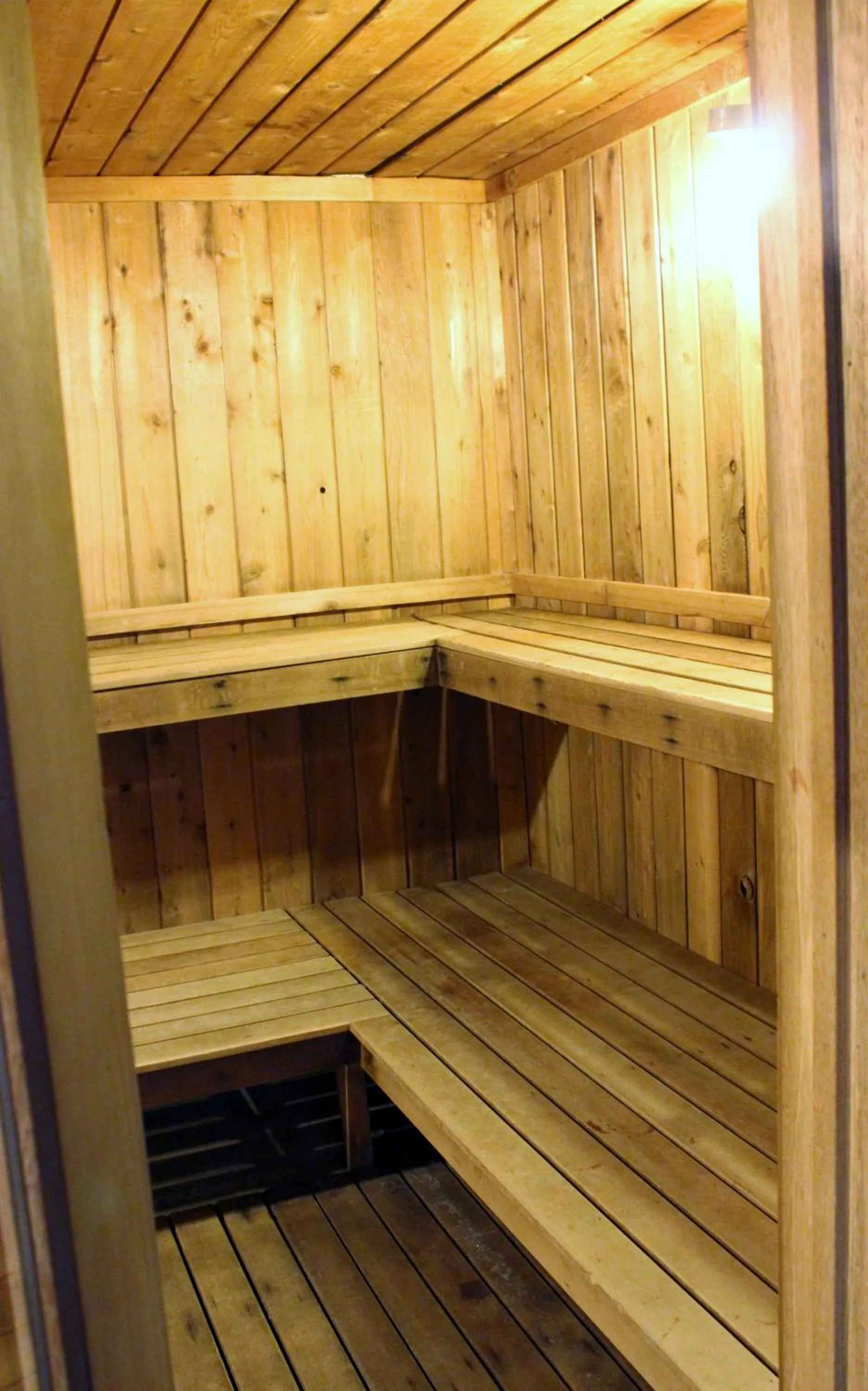 Sauna in Austrian Haus Lodge
