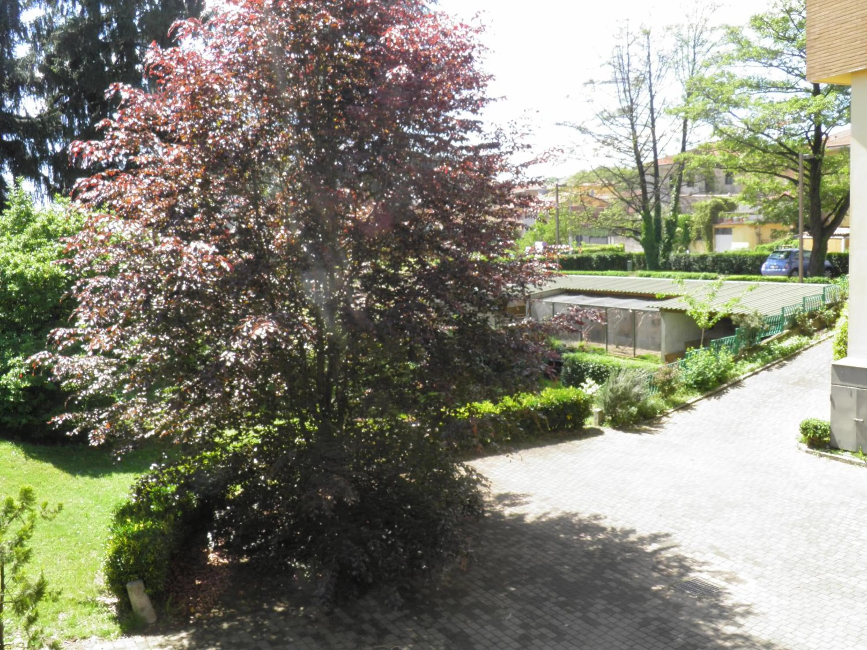 Garden in Hotel Ramoverde