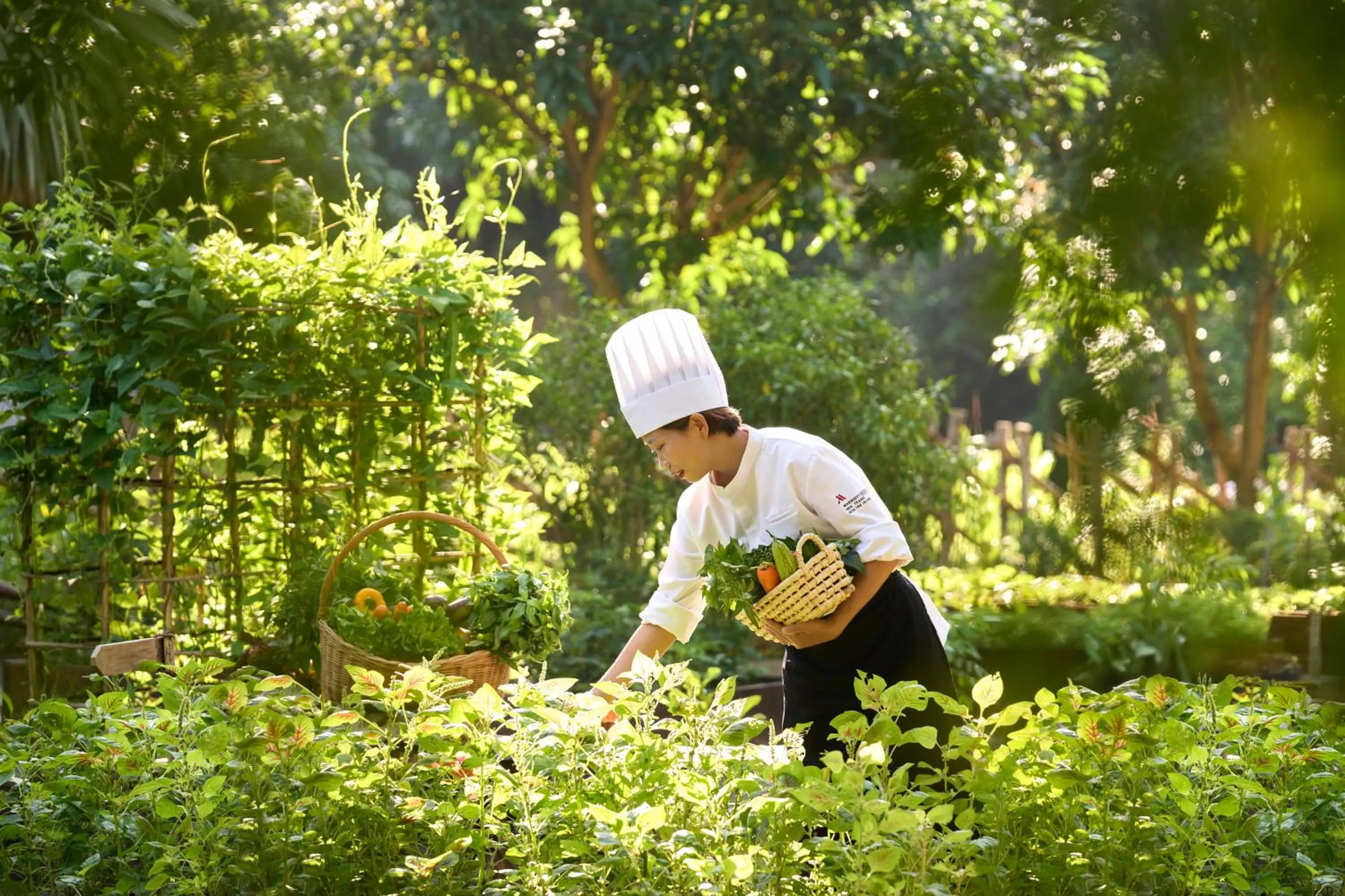Garden in Nha Trang Marriott Resort & Spa, Hon Tre Island