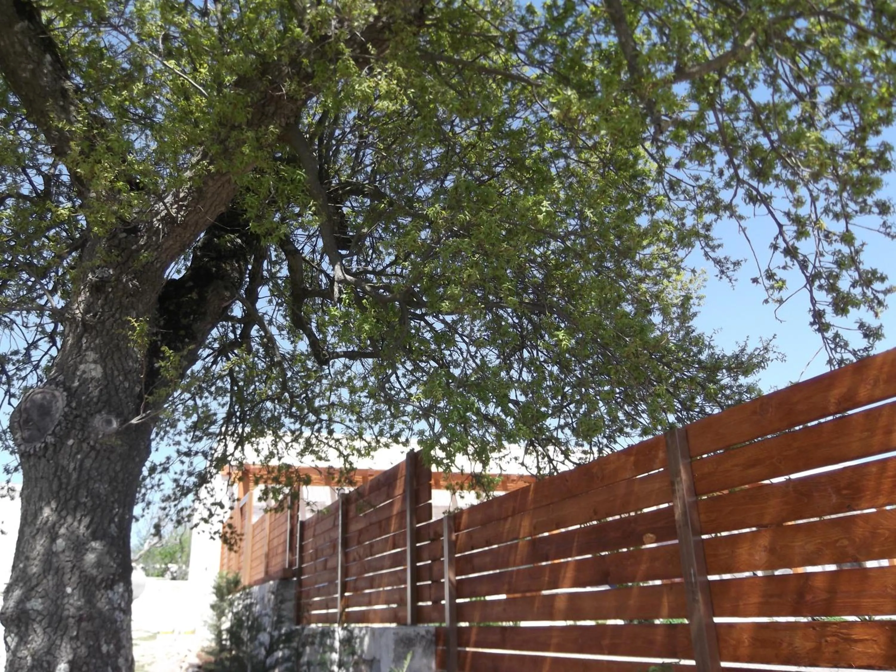 Facade/entrance in Red Rose B&B