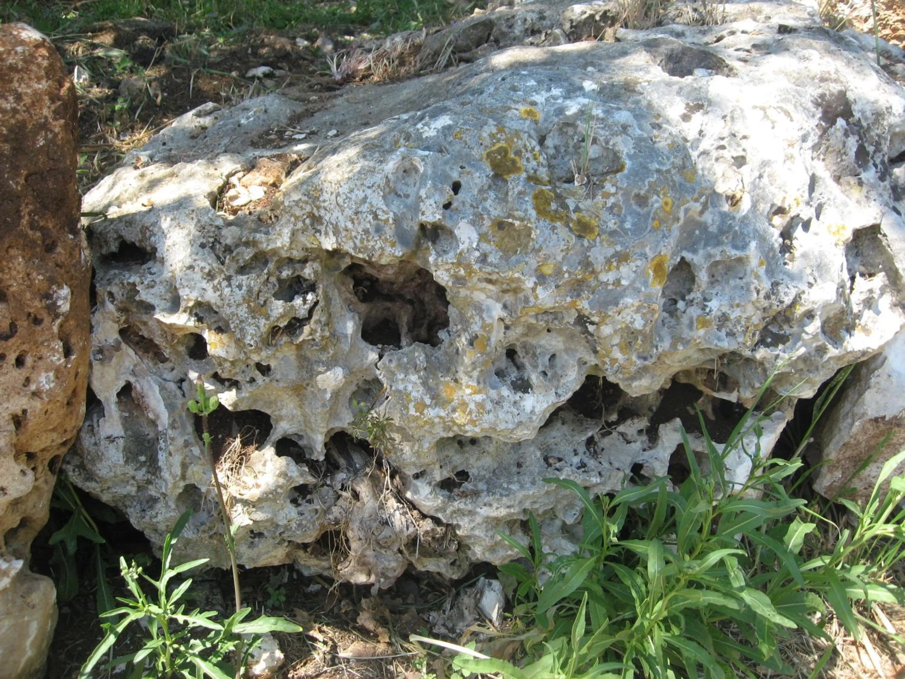 View (from property/room) in Red Rose B&B