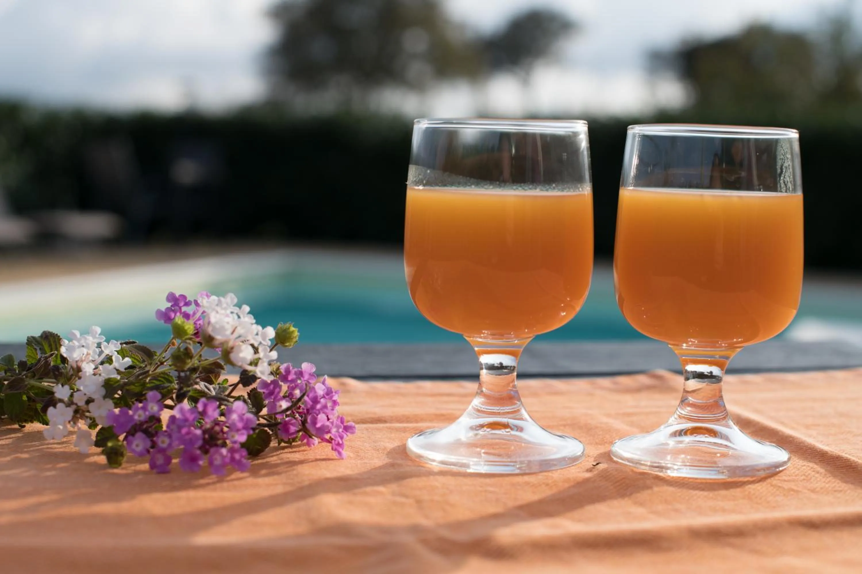 Swimming pool in Red Rose B&B