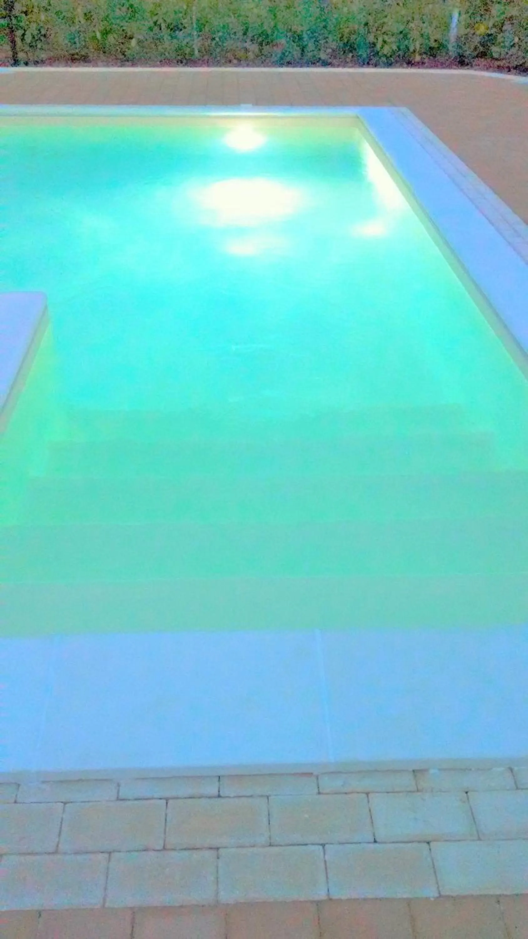 Swimming pool in Red Rose B&B