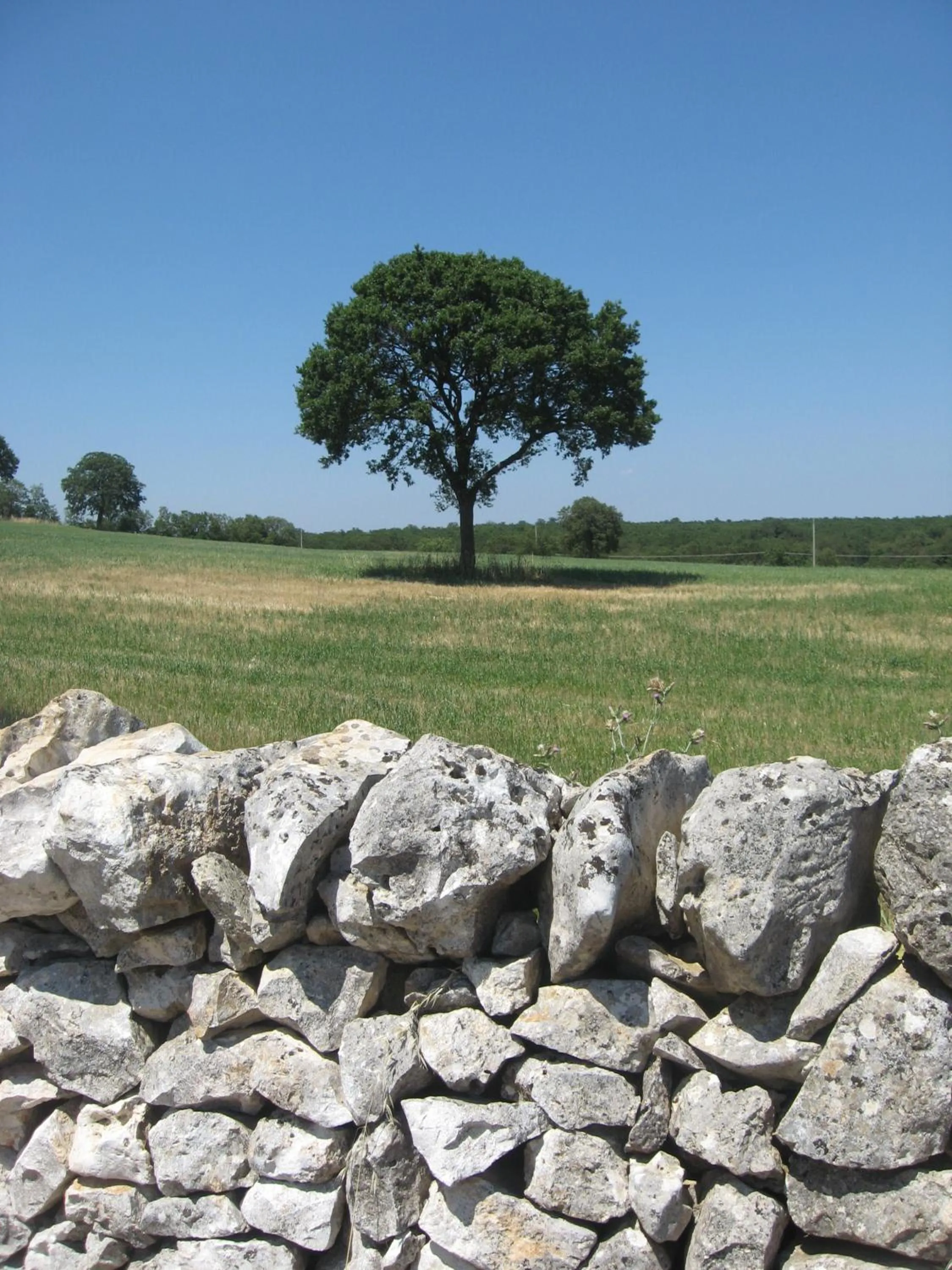 View (from property/room) in Red Rose B&B