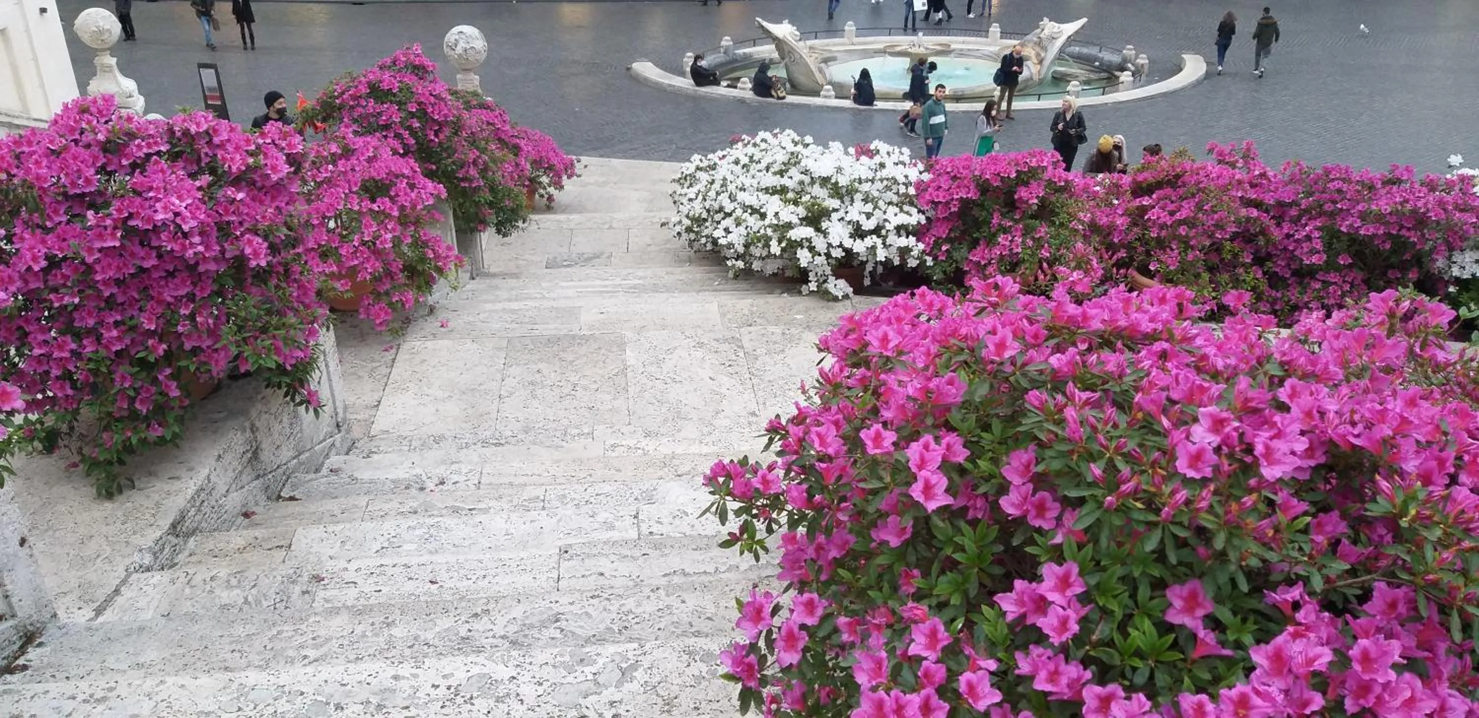 Nearby landmark in B&B A Home in Rome