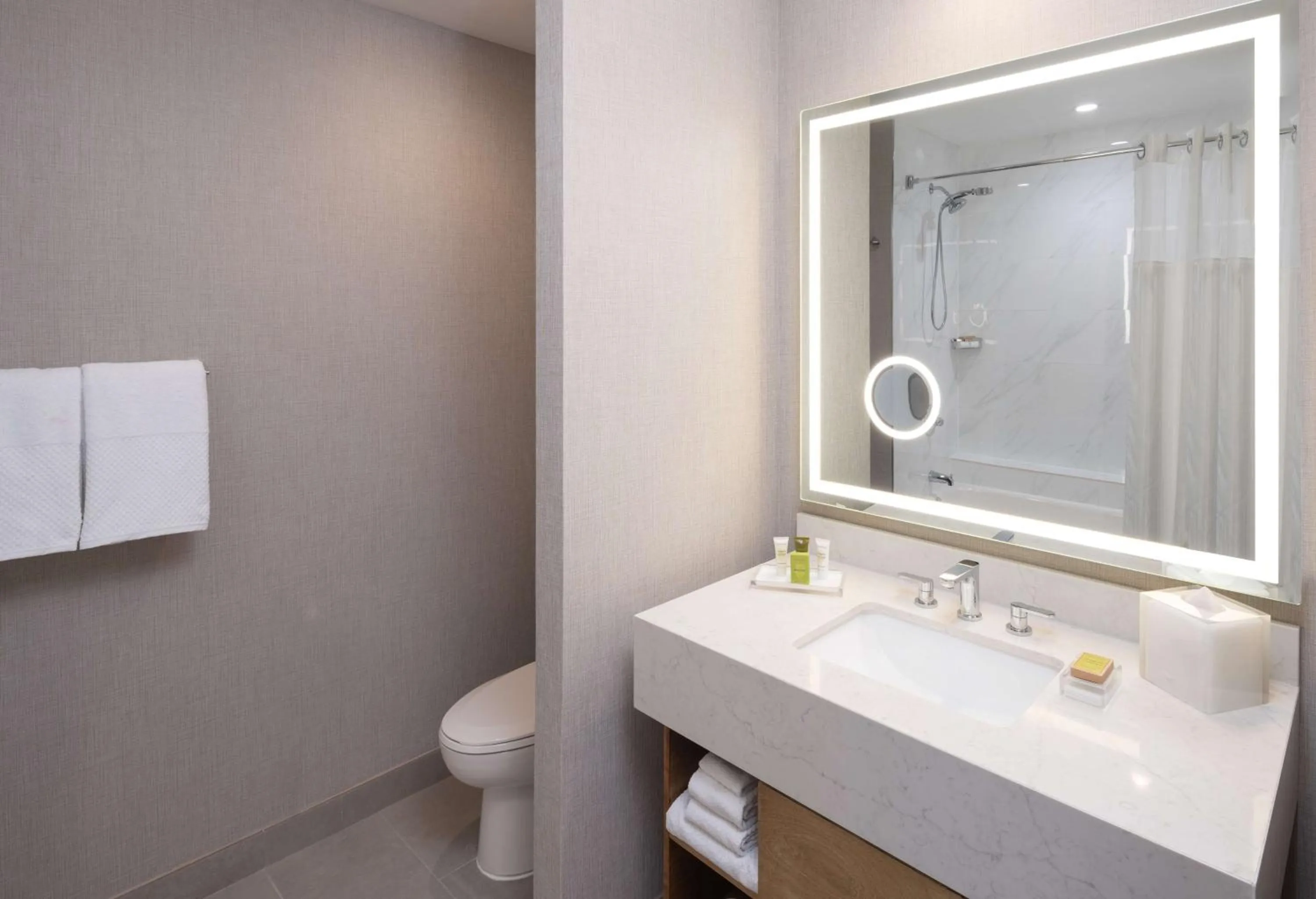 Bathroom in Hilton Houston North