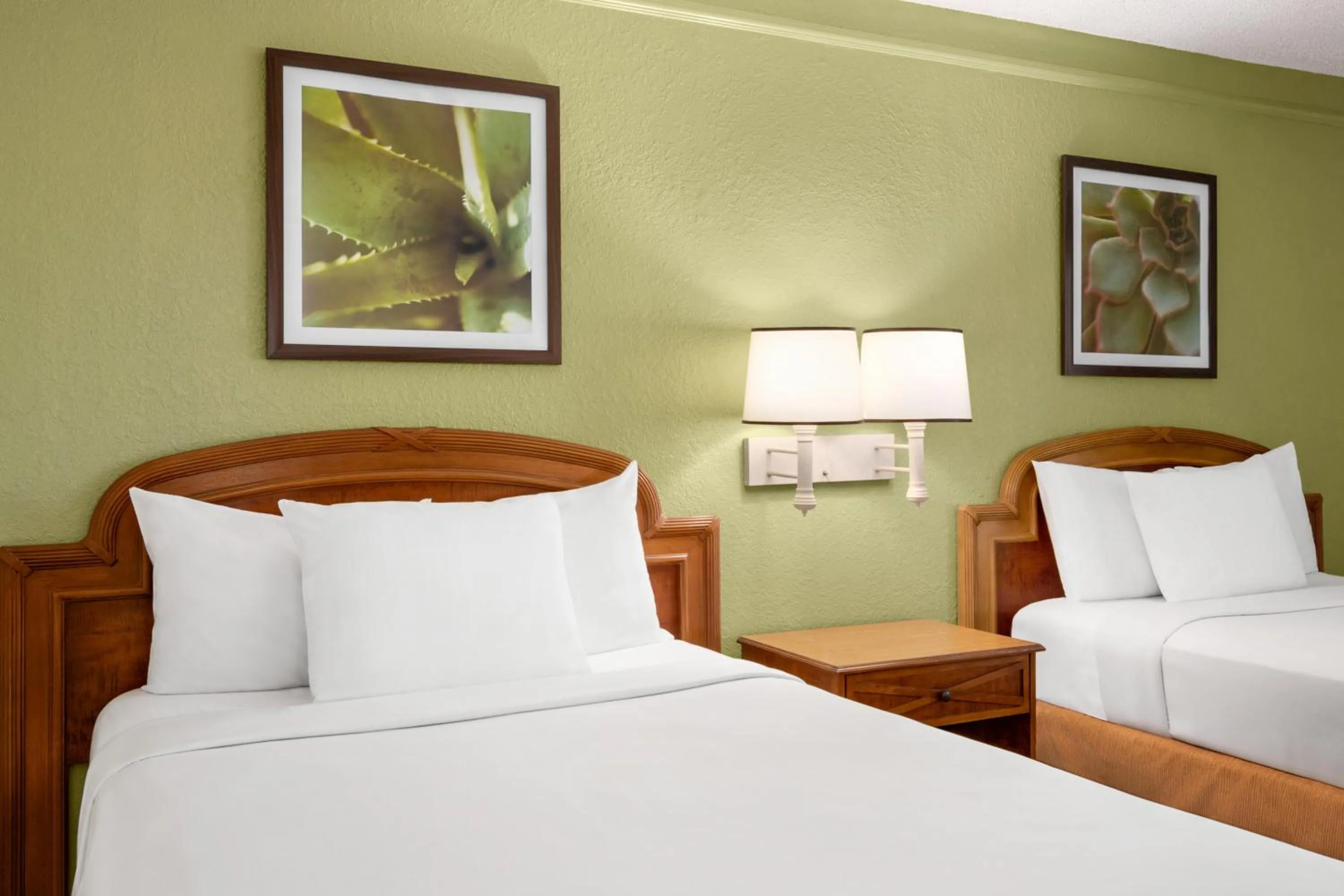 Bedroom, Bed in Baymont by Wyndham Intl Speedway I-95 Daytona Beach