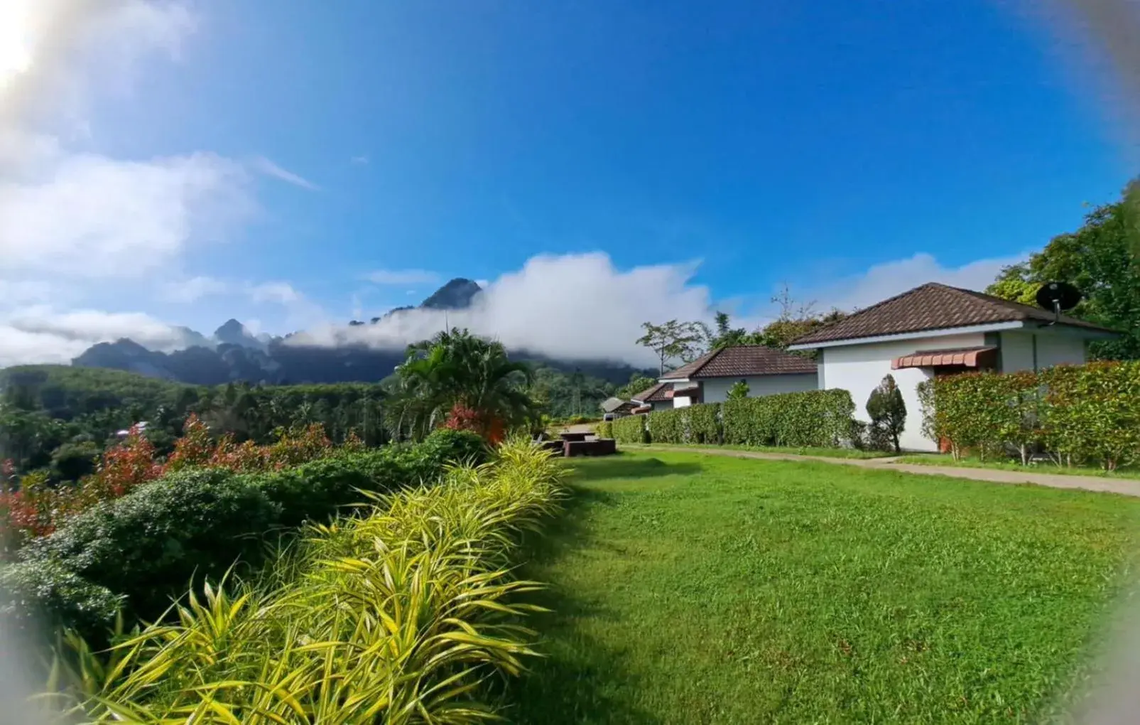 Standard Double Room in K.K. Park Resort Standard Double Room in K.K. Park Resort