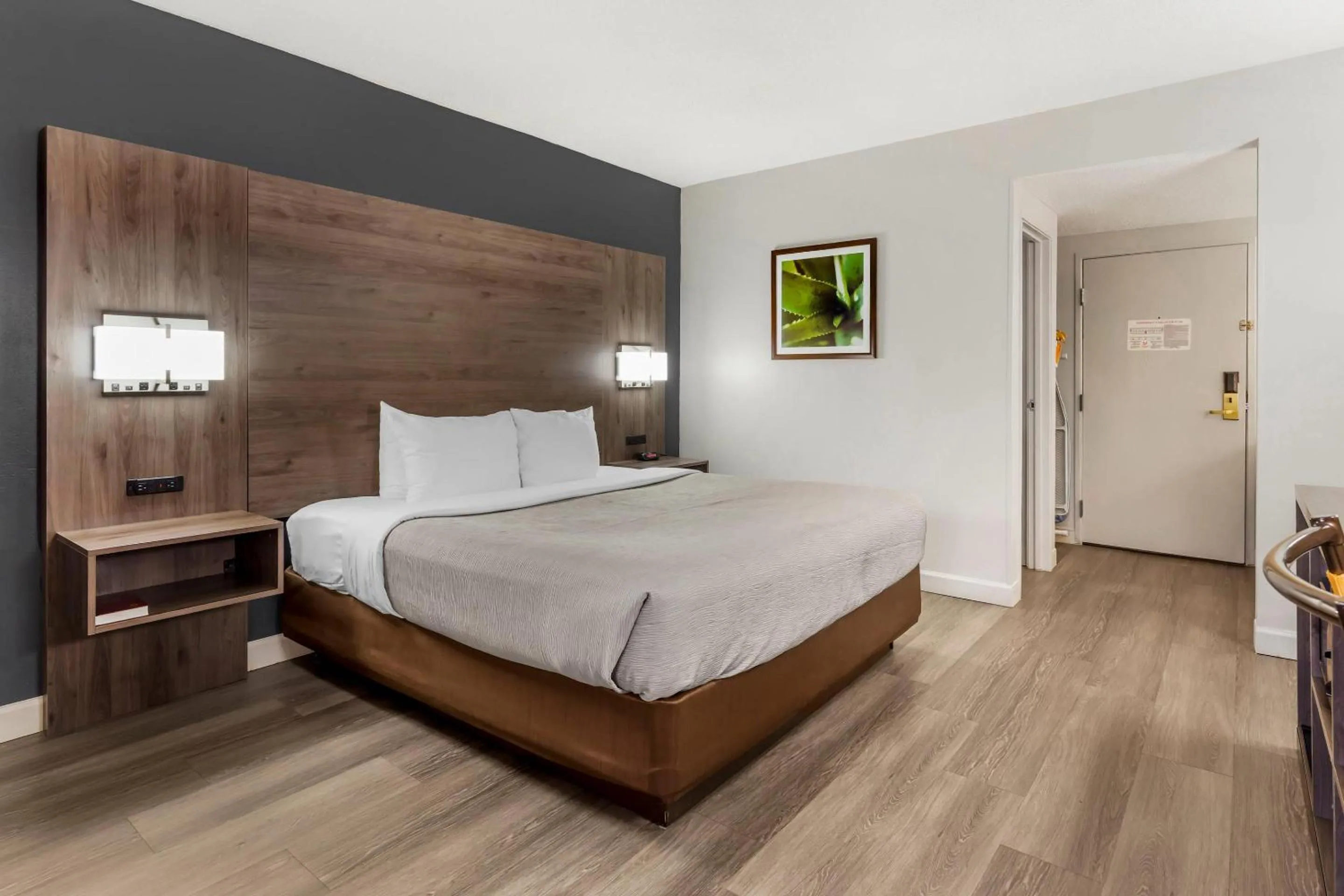 Bedroom, Bed in Quality Inn & Suites Raleigh Durham Airport