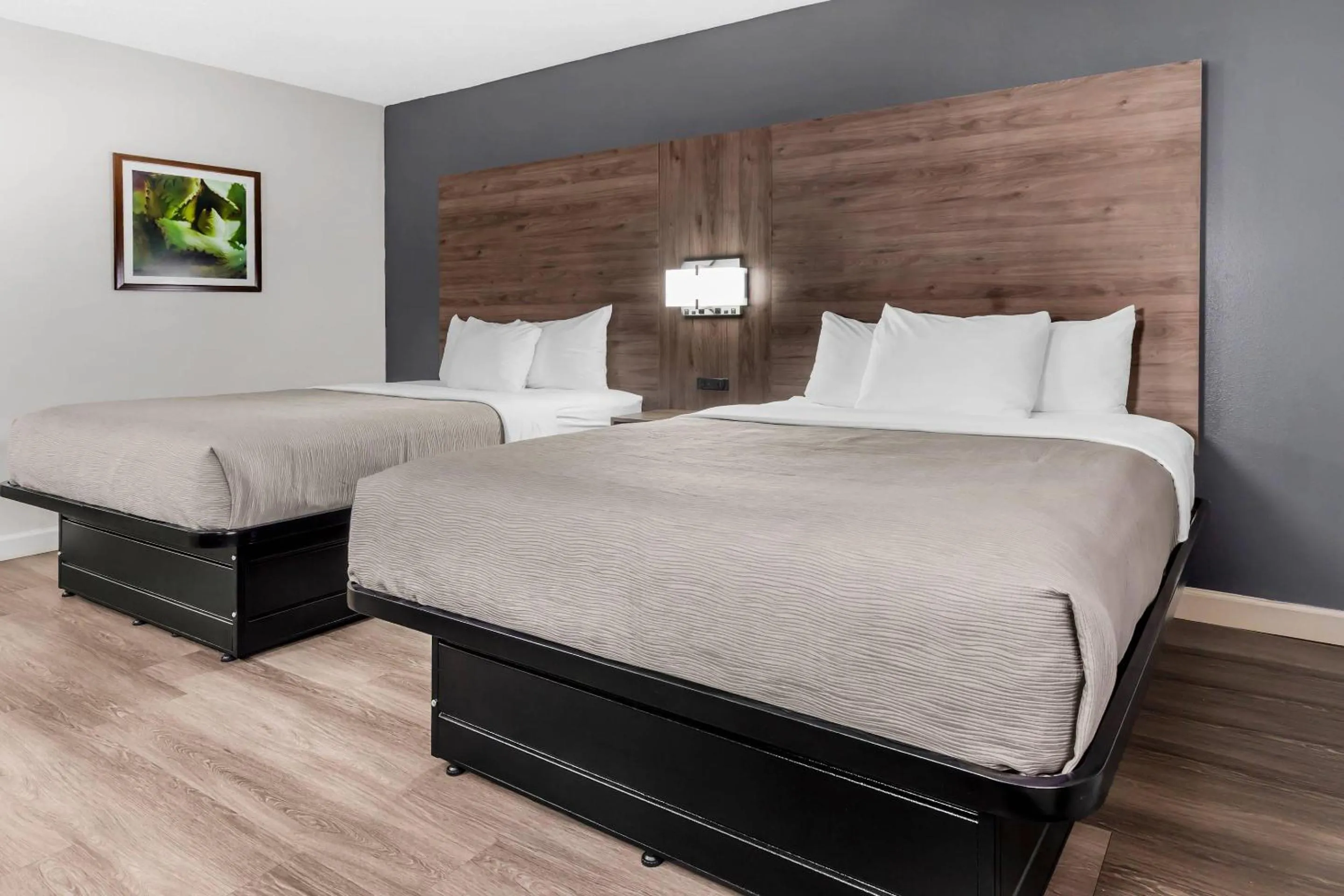 Bedroom, Bed in Quality Inn & Suites Raleigh Durham Airport