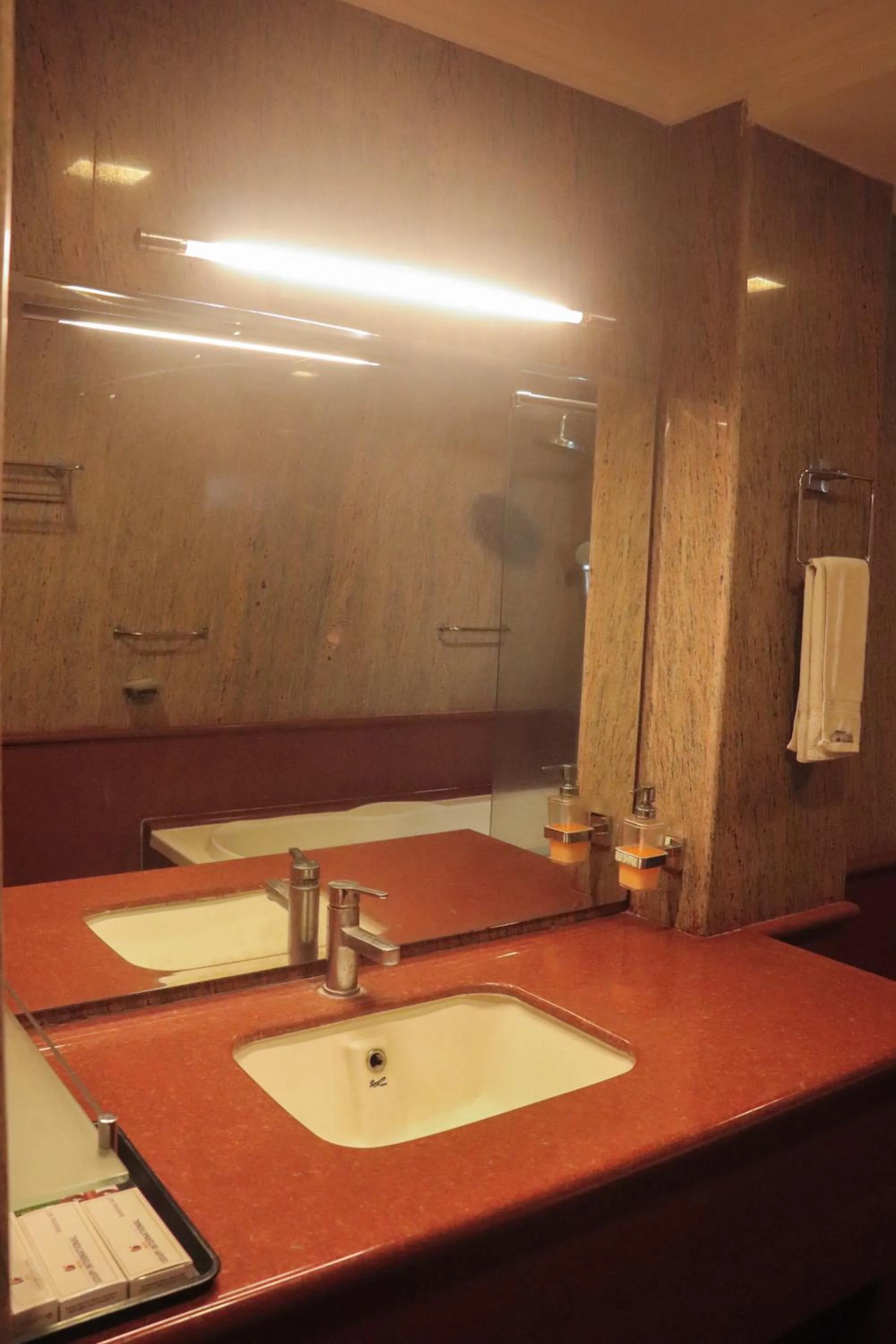 HOTEL UDUPI INTERNATIONAL