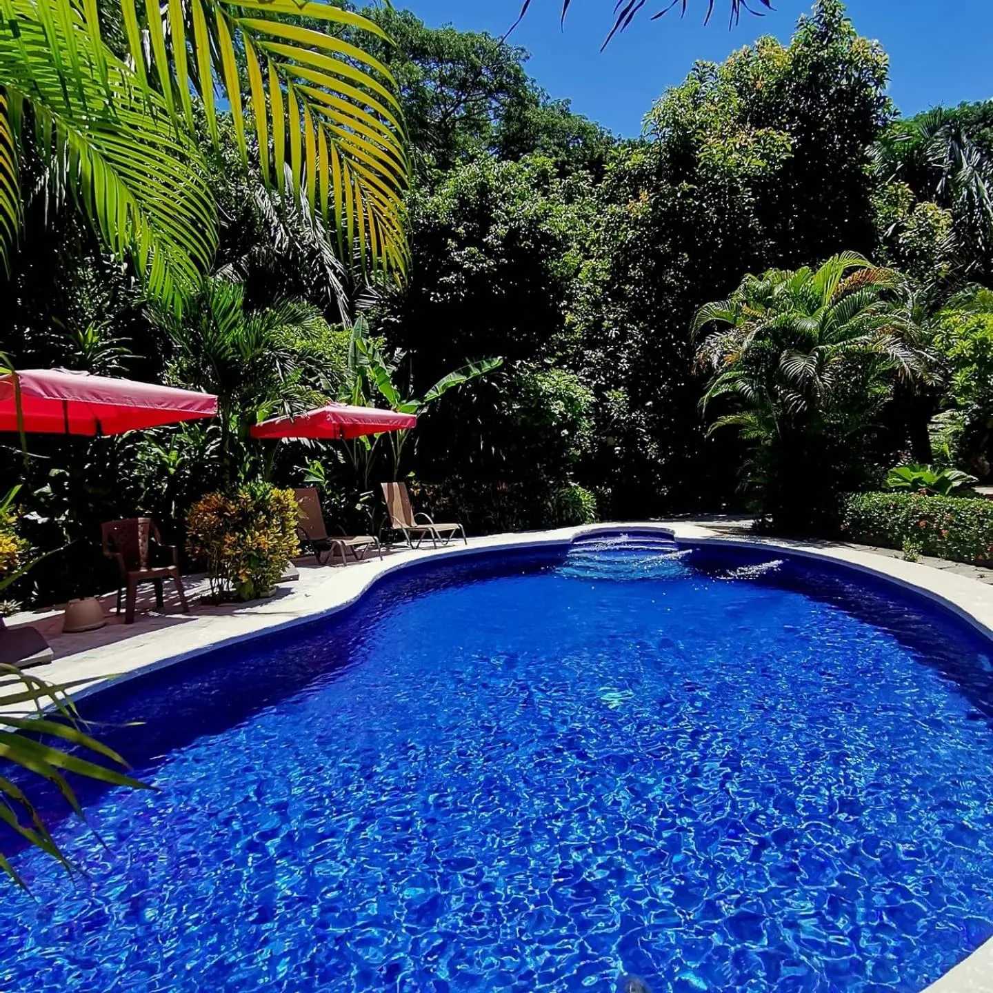 Hotel Belvedere Playa Samara Costa Rica