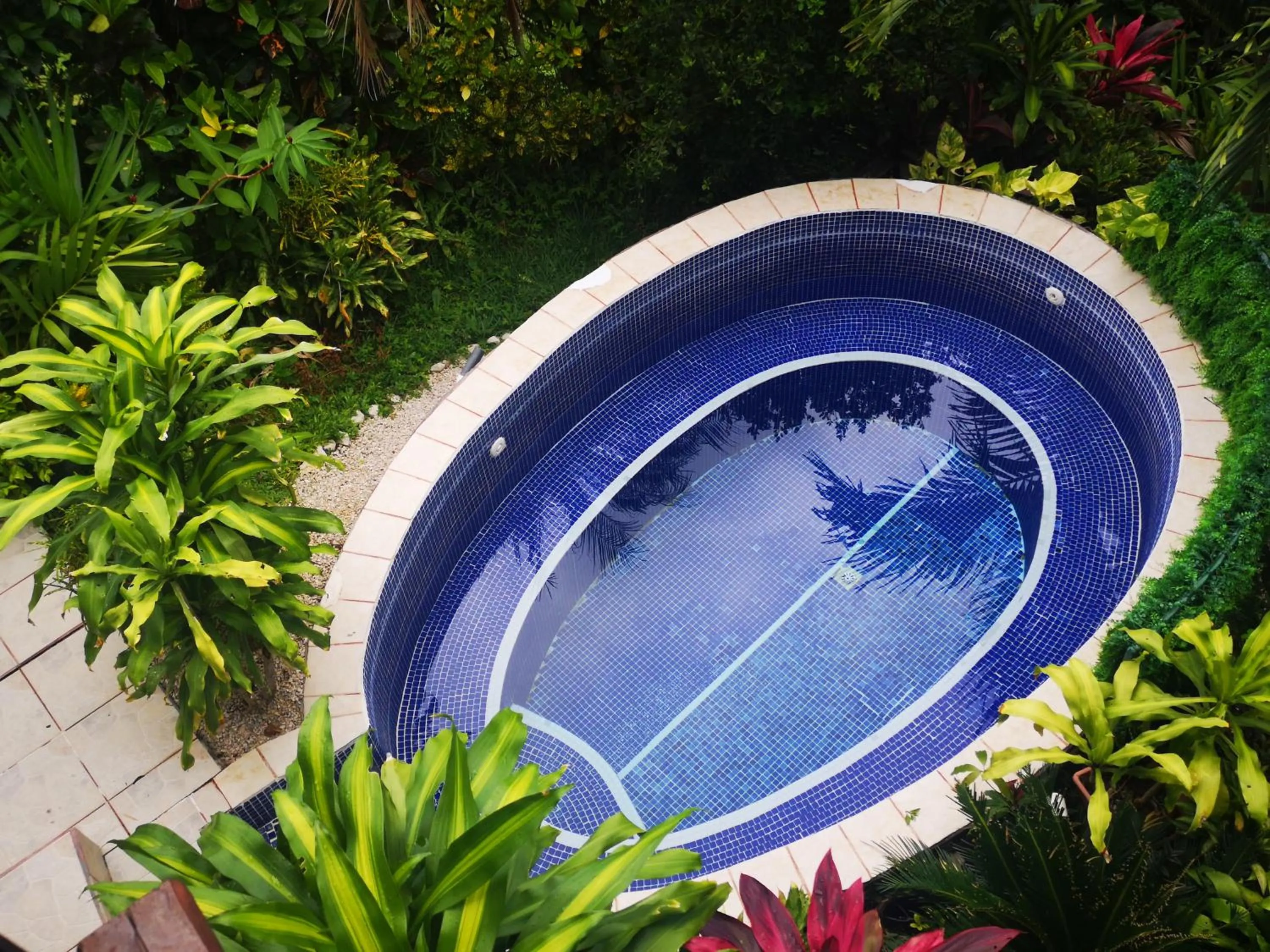 Hotel Belvedere Playa Samara Costa Rica