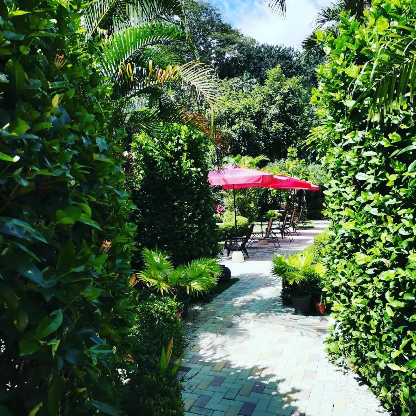 Hotel Belvedere Playa Samara Costa Rica