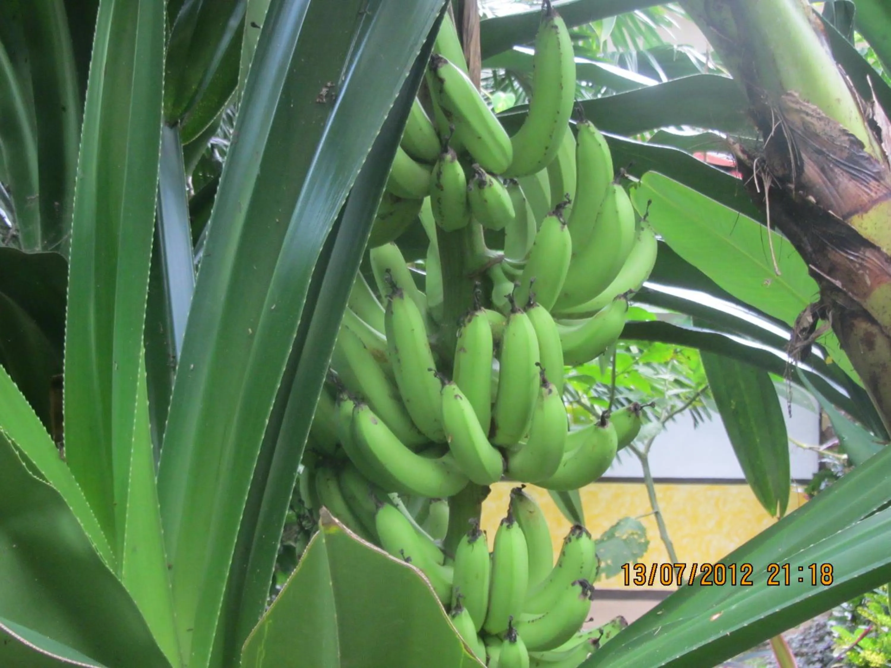 Other in Hotel Belvedere Playa Samara Costa Rica