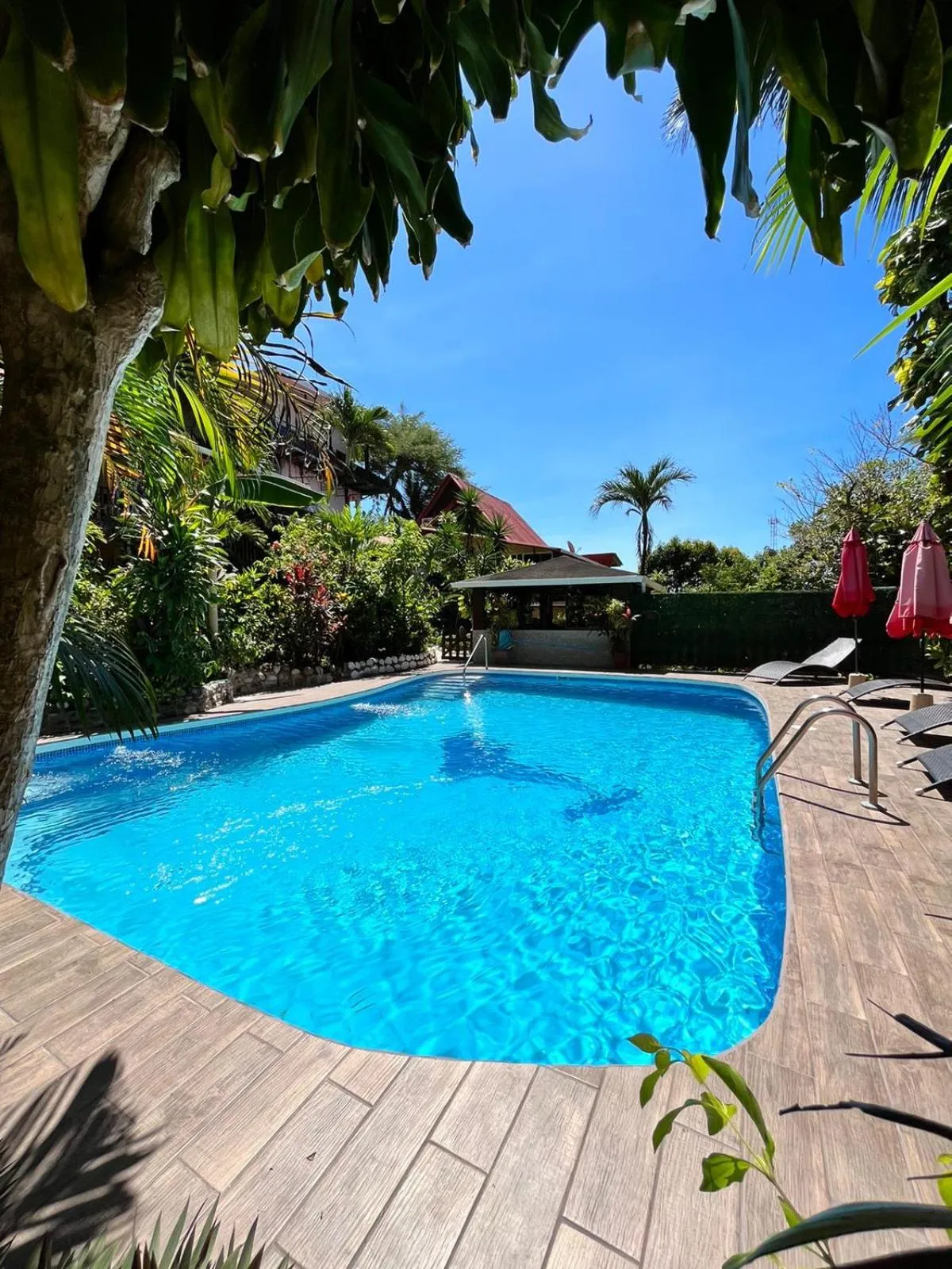 Hotel Belvedere Playa Samara Costa Rica