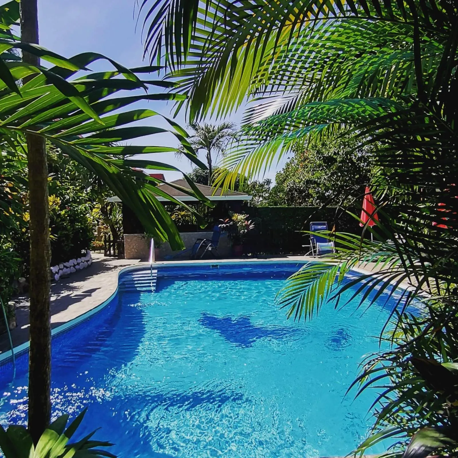 Hotel Belvedere Playa Samara Costa Rica