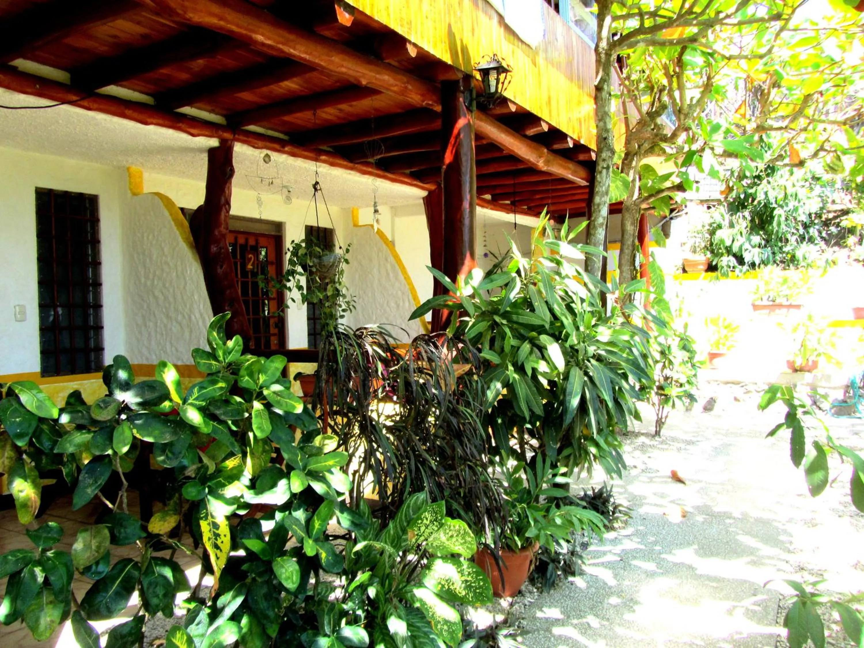 Garden in Hotel Belvedere Playa Samara Costa Rica