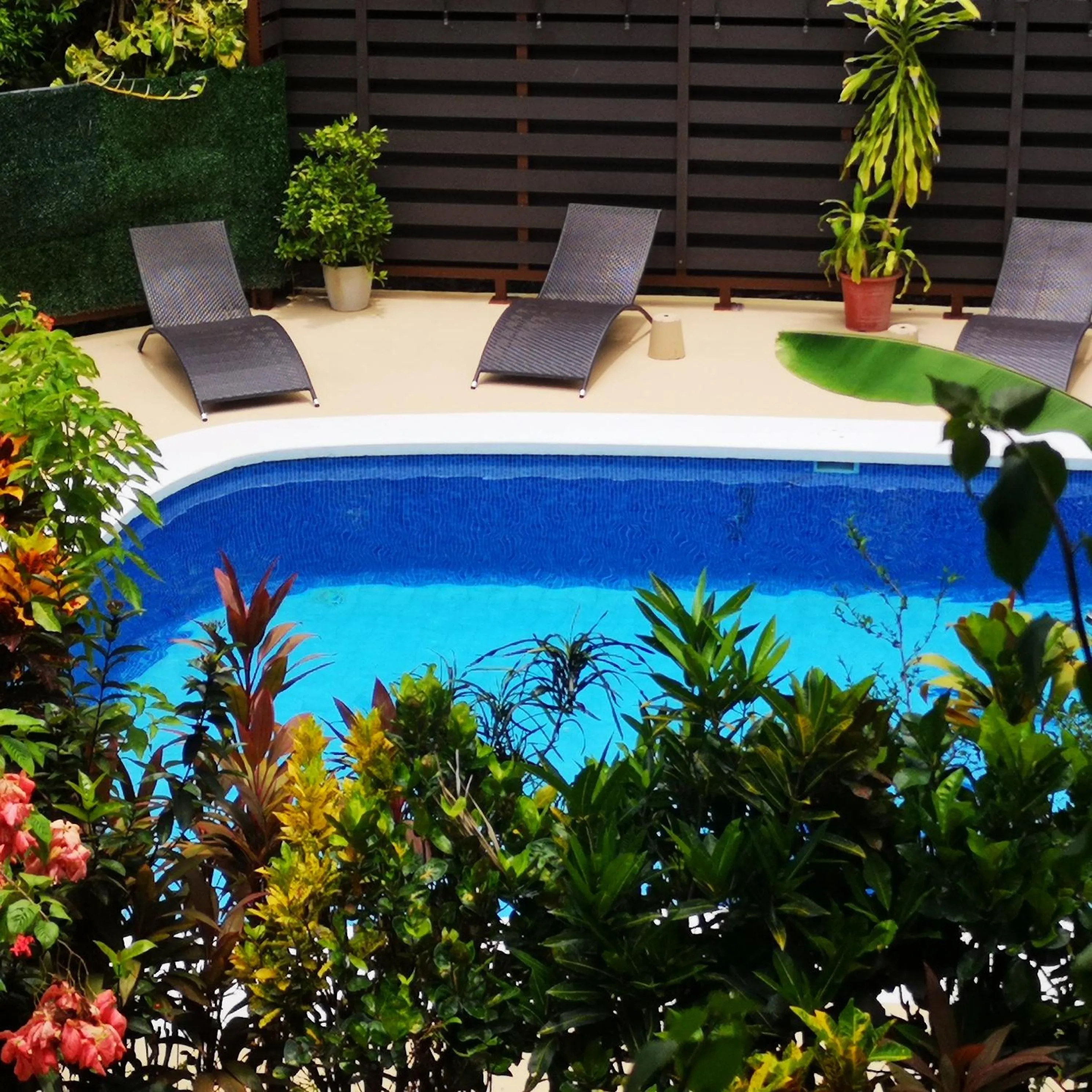 Hotel Belvedere Playa Samara Costa Rica