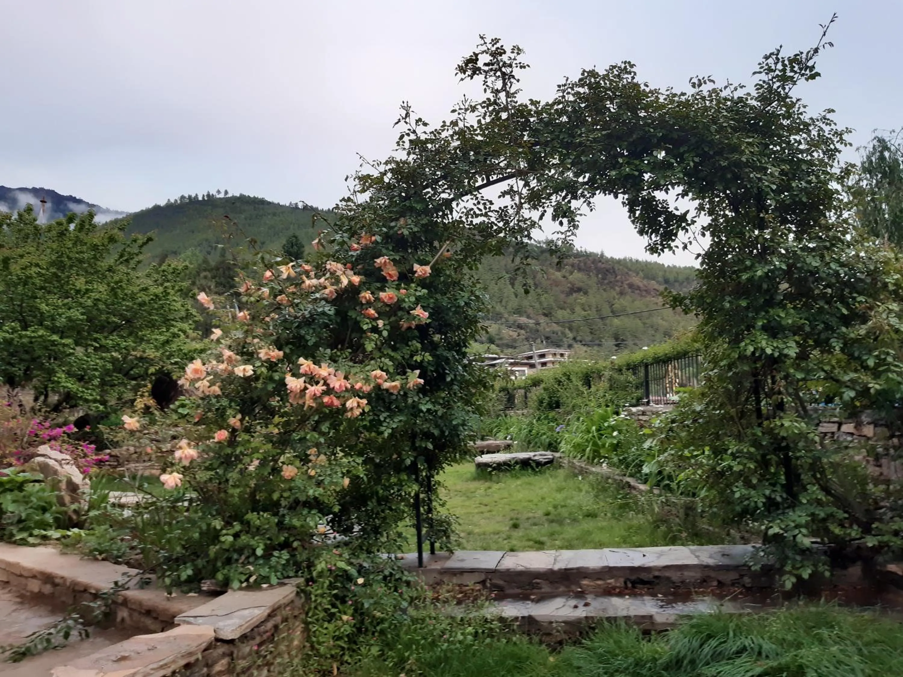 Garden in Kisa Villa