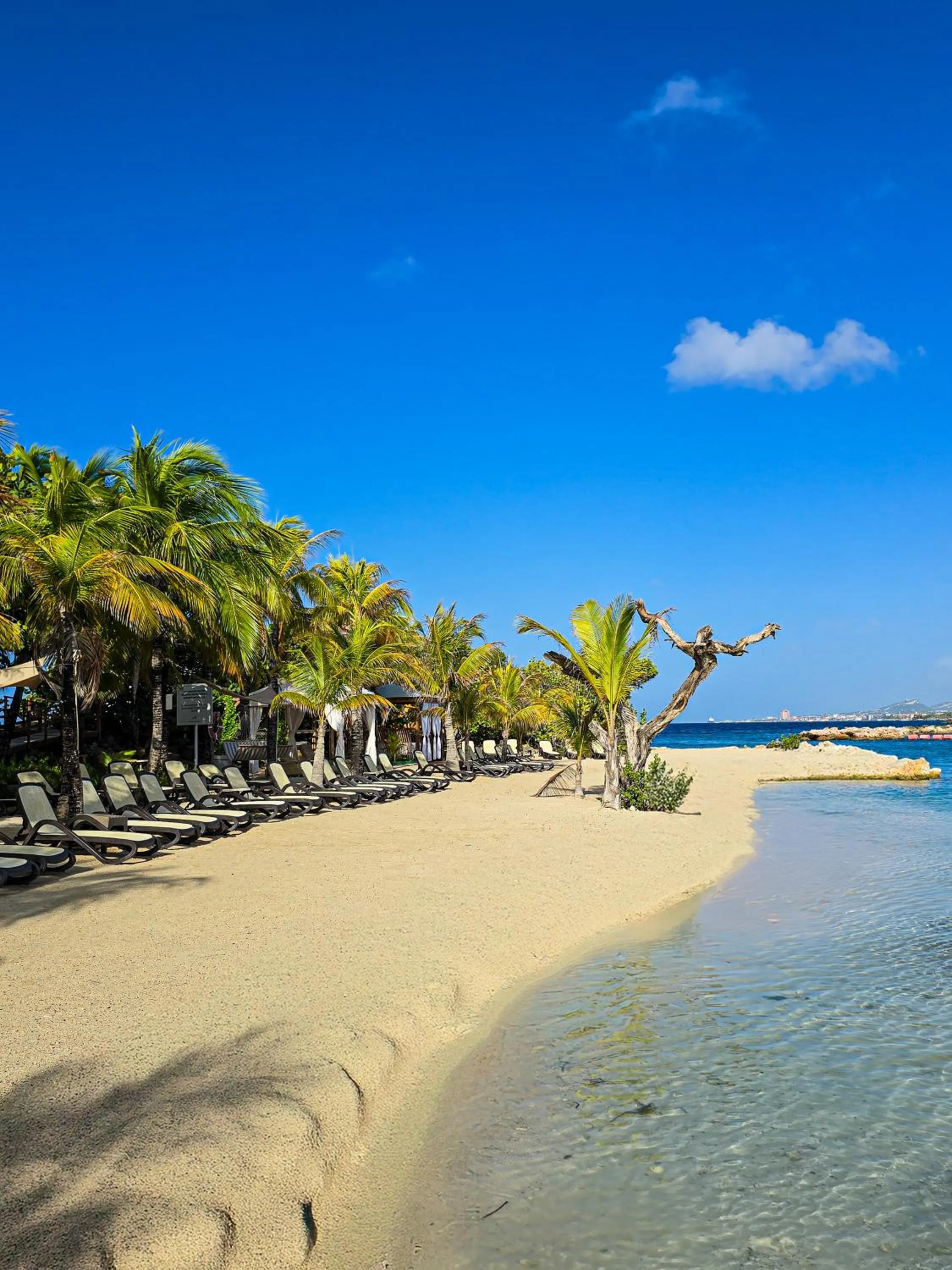 Beach in The Royal Sea Aquarium Resort
