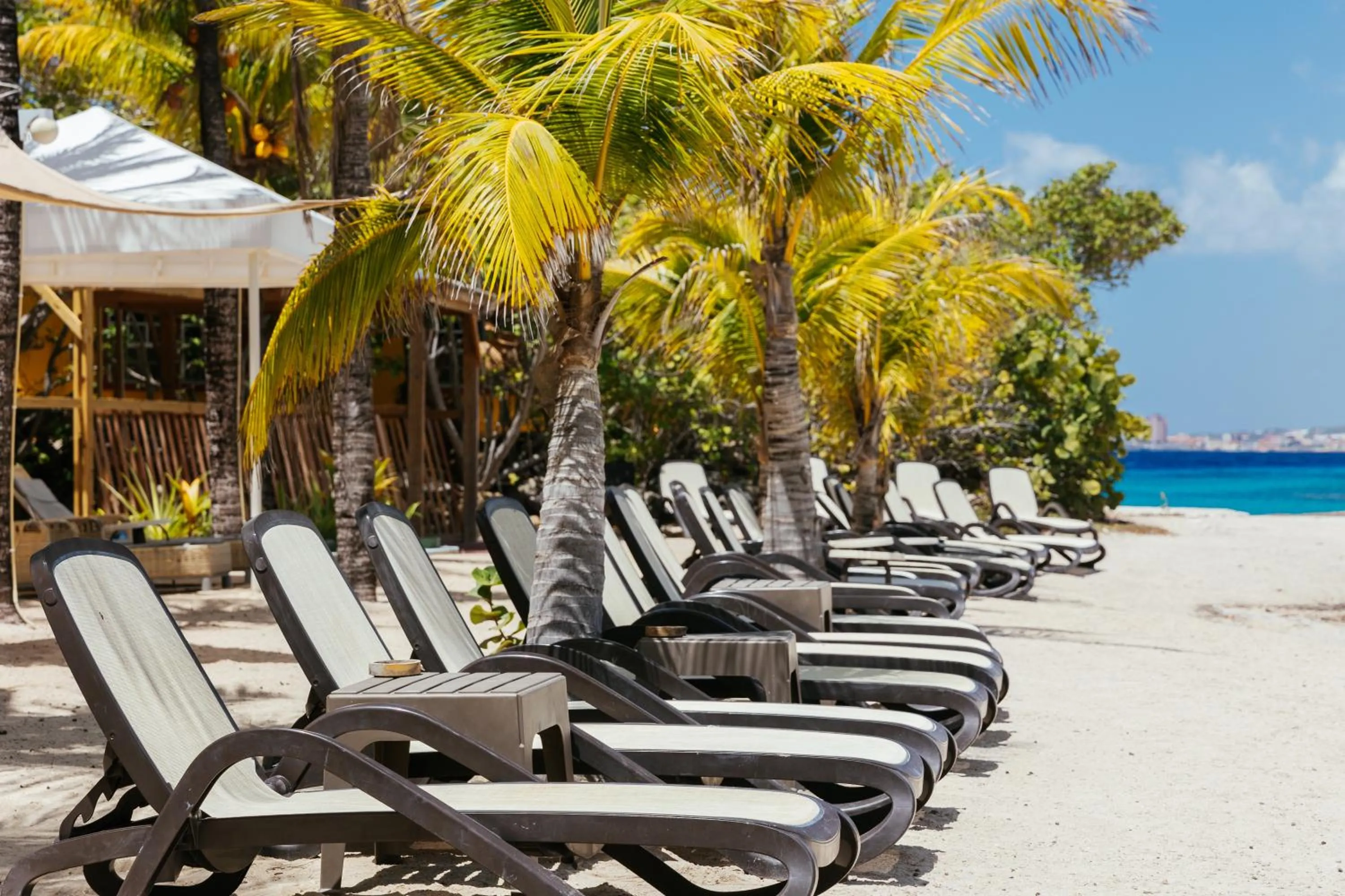 sunbed in The Royal Sea Aquarium Resort