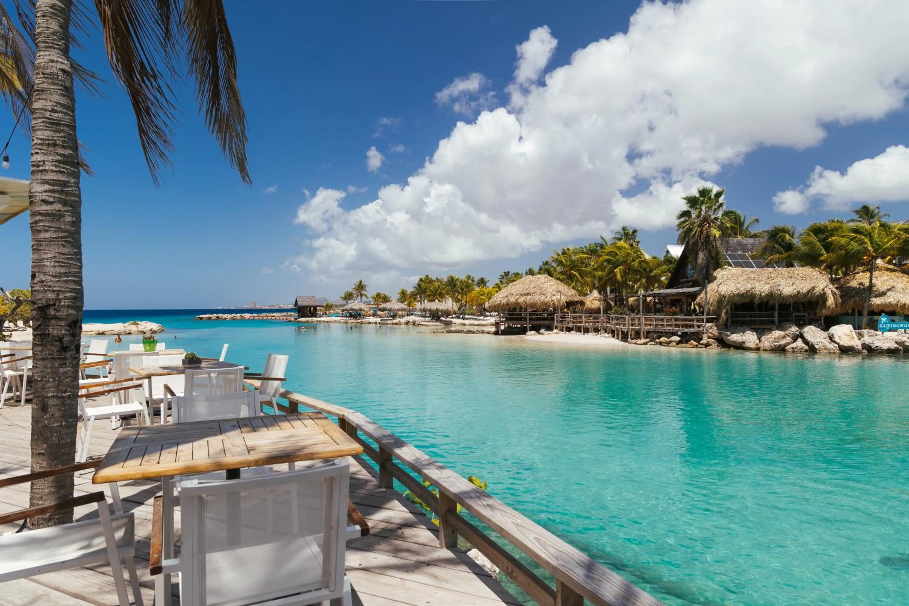 Day in The Royal Sea Aquarium Resort