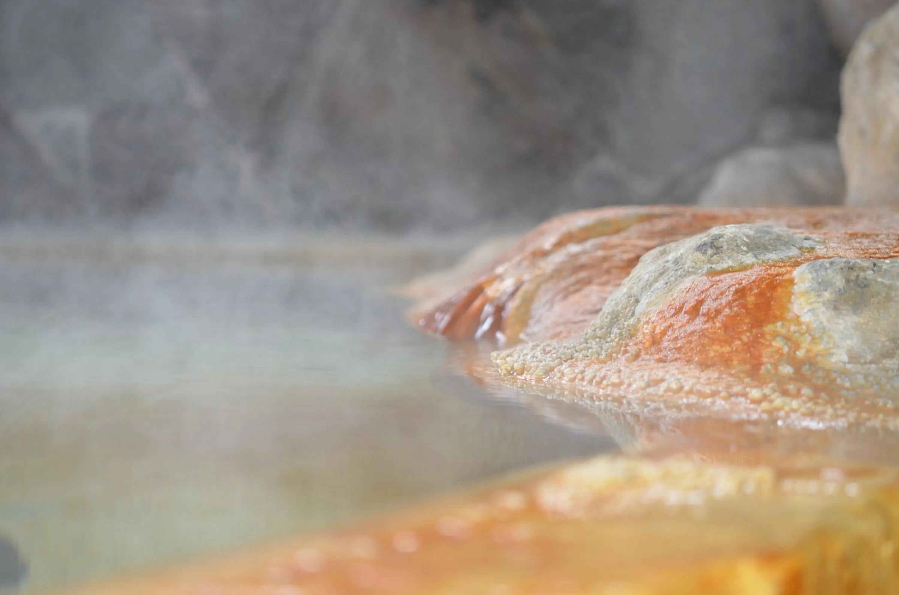 Hot Spring Bath in Ryokan Sennari (13 years or older)