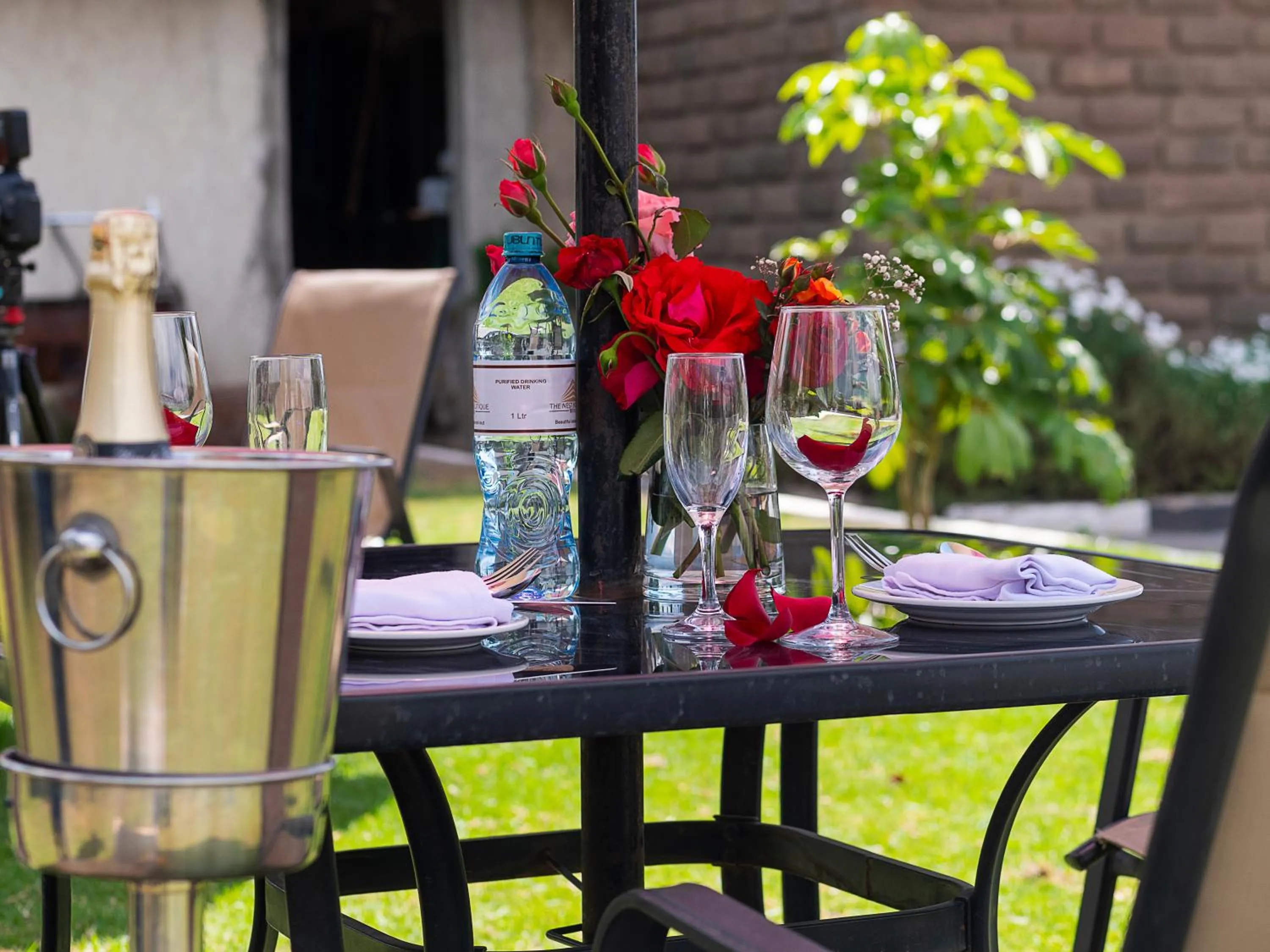 Garden in The Nest Boutique Hotel