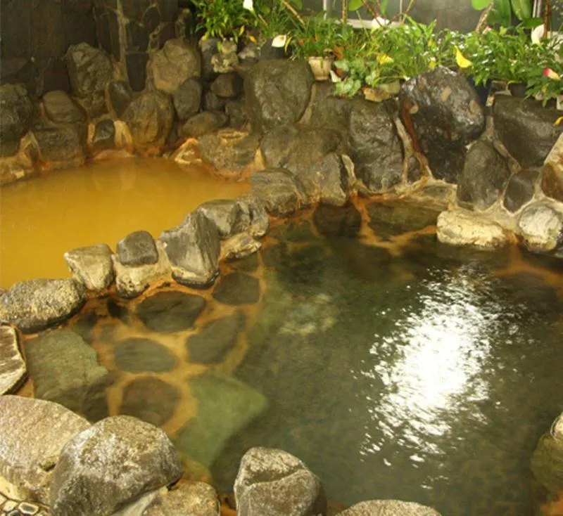 Hot Spring Bath in Suisenkaku