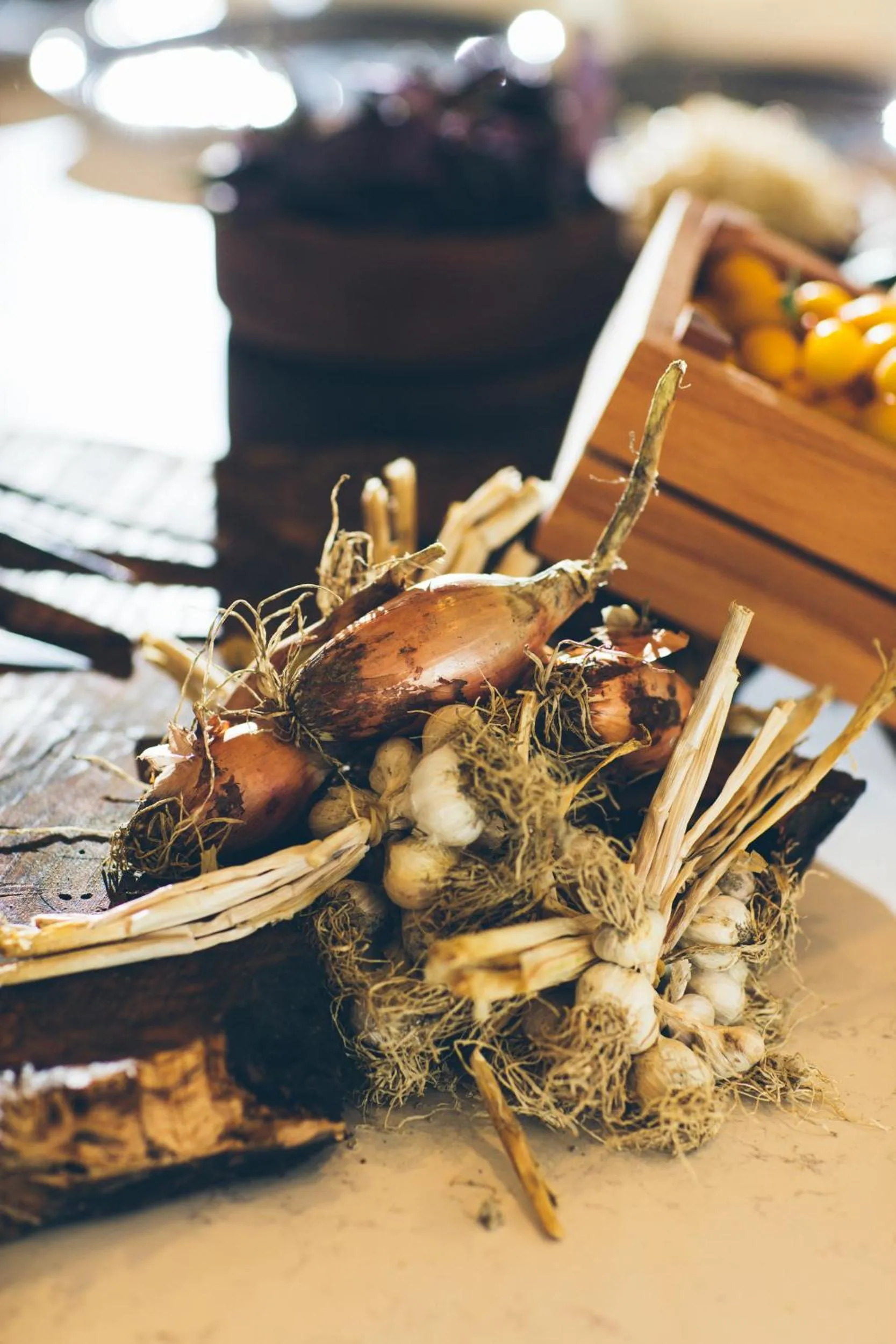 Food in Paloma Finesse Side