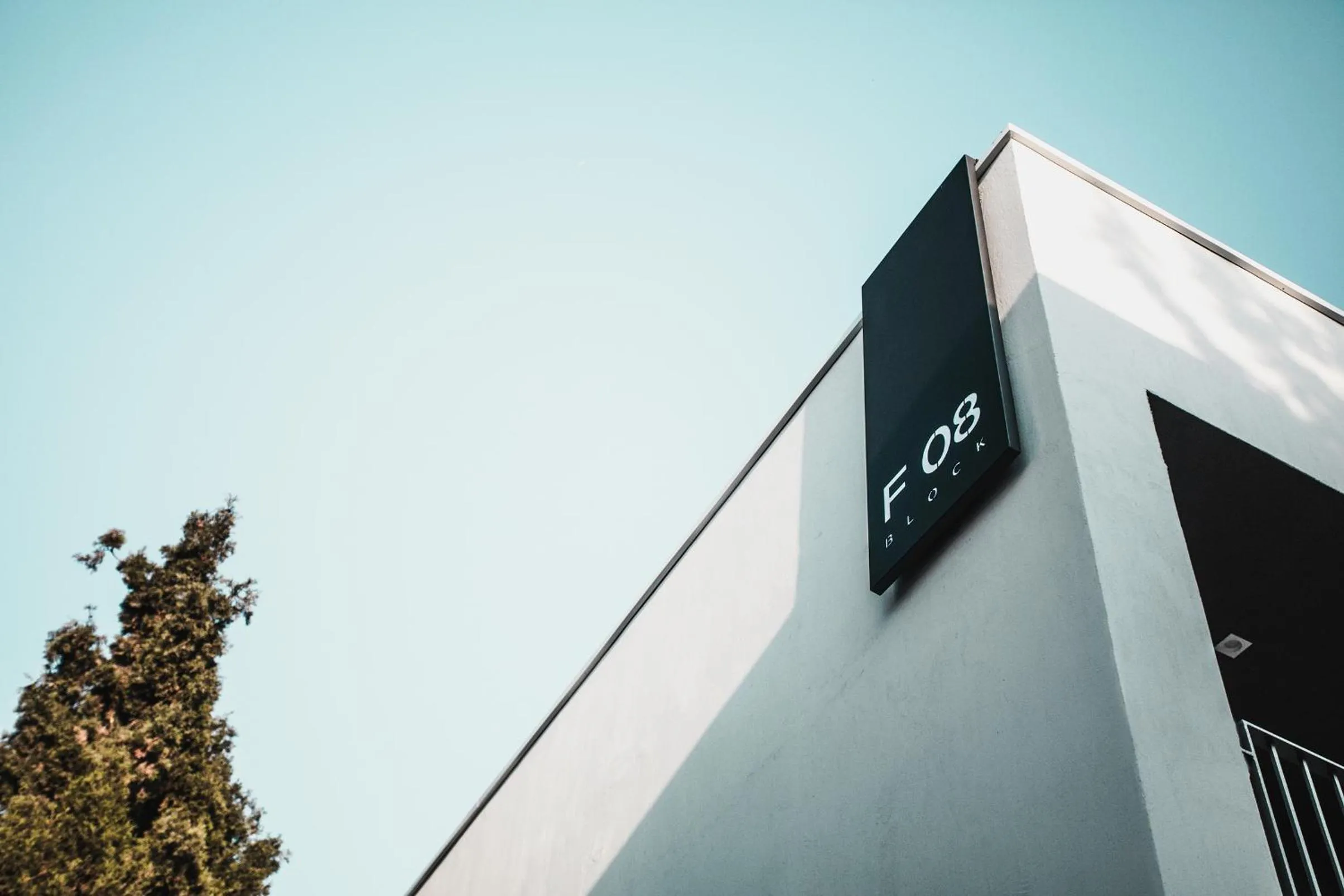 Day in Paloma Finesse Side