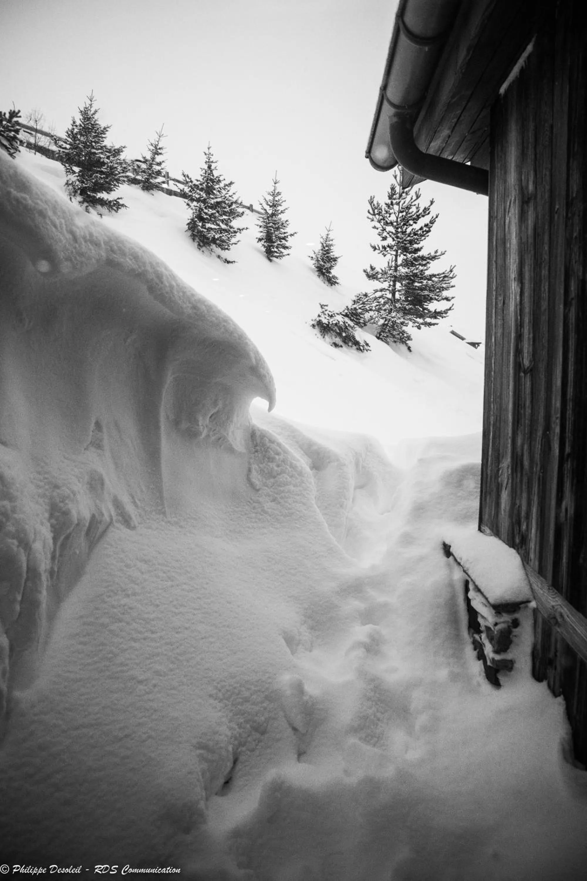 Natural landscape in Hillary Hotel