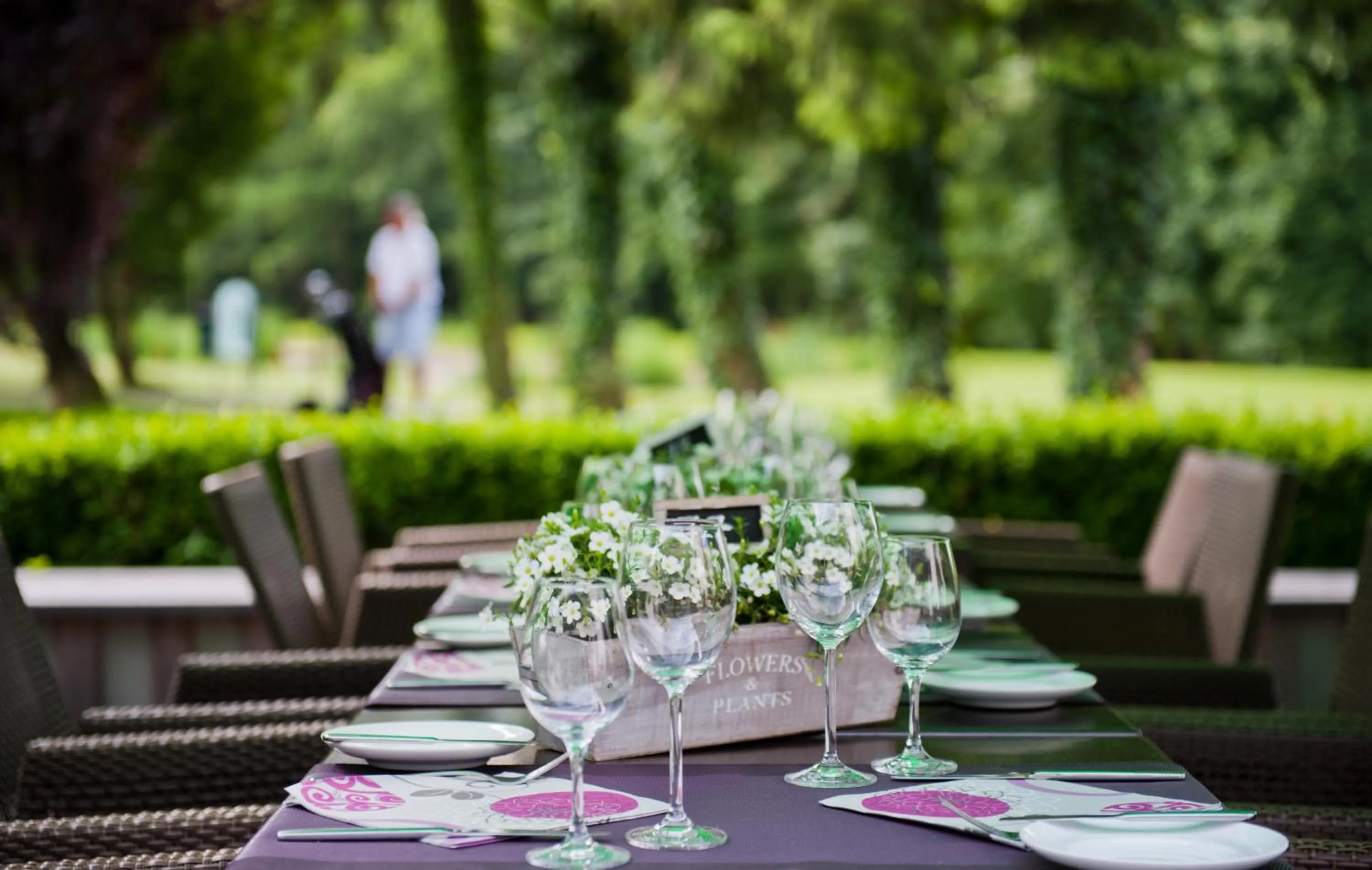 Balcony/Terrace in Das Vesper